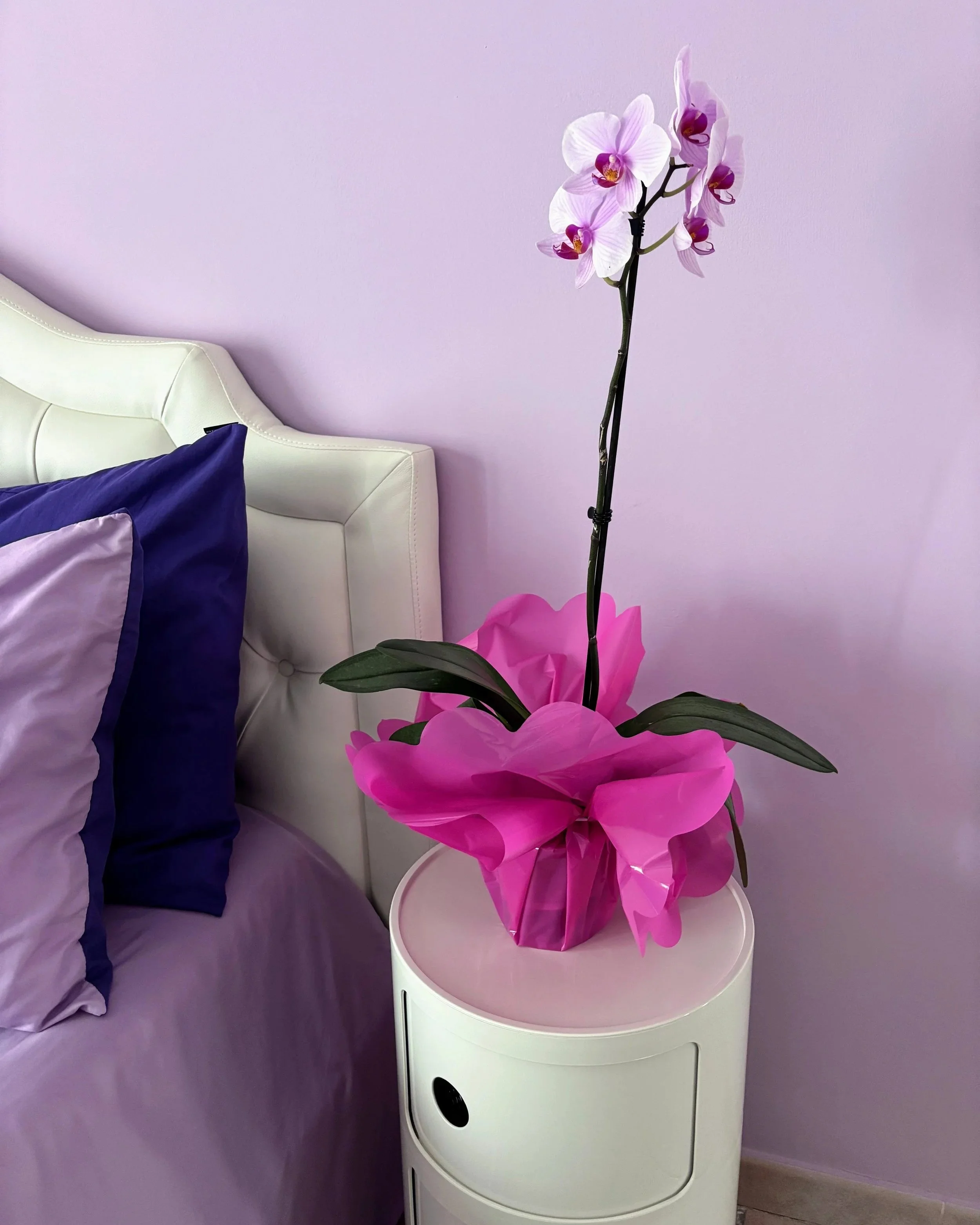 A lilac orchid on a white nightstand next to a white bed with lilac sheets