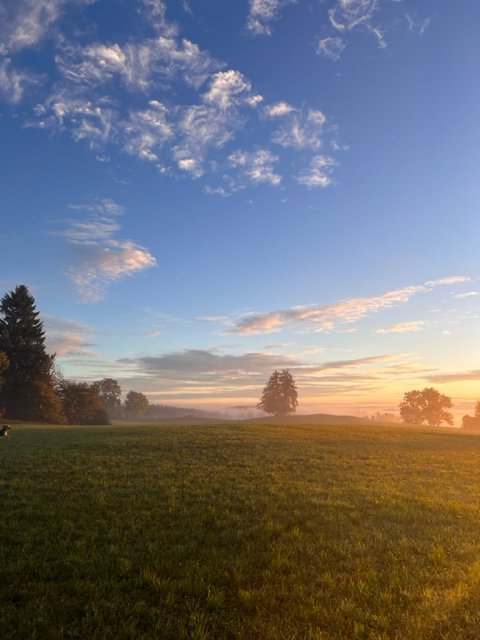 raise-yoga_ebenrieder_landschaft_2.jpg