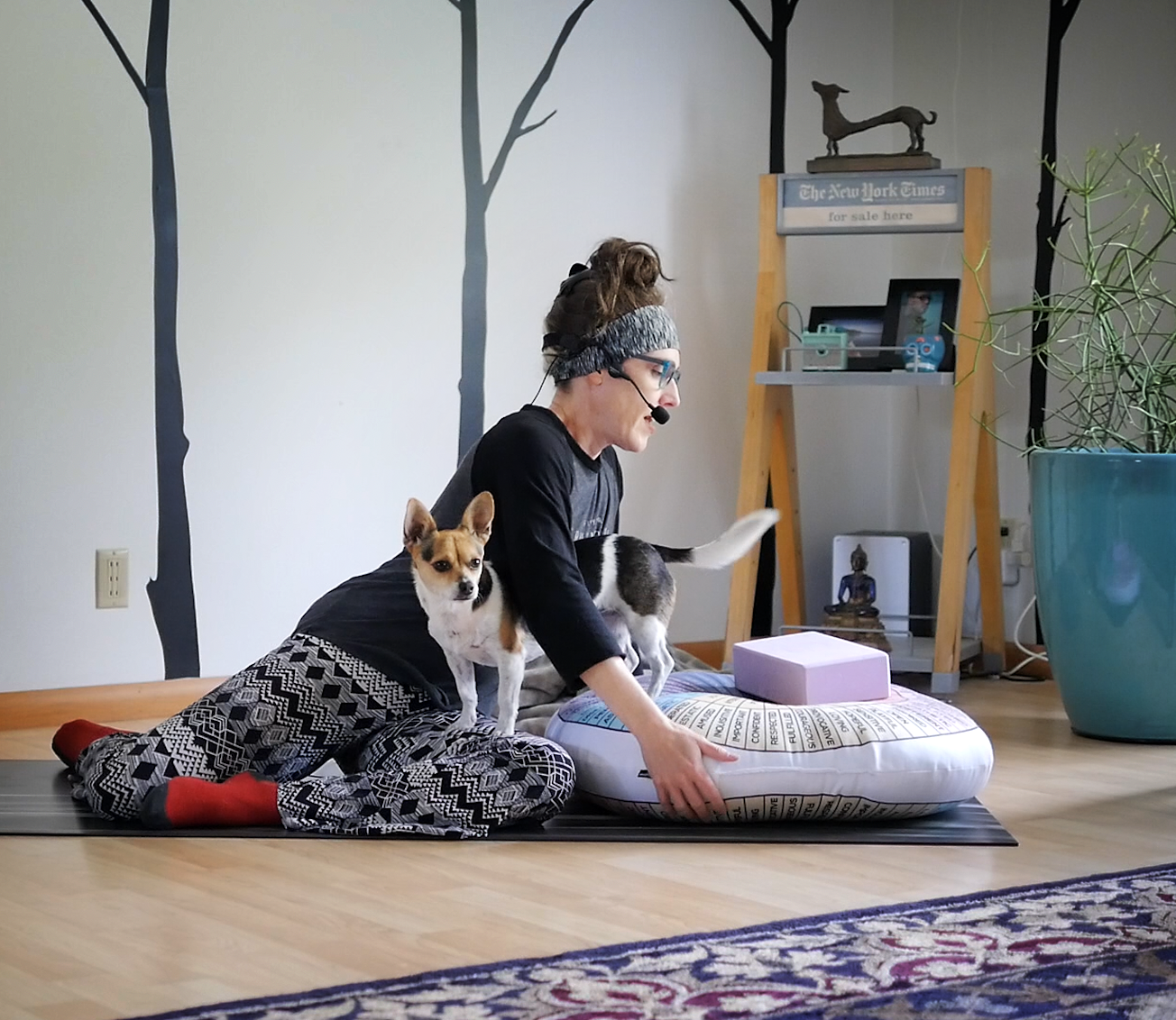 yin, even if you think you don’t want to