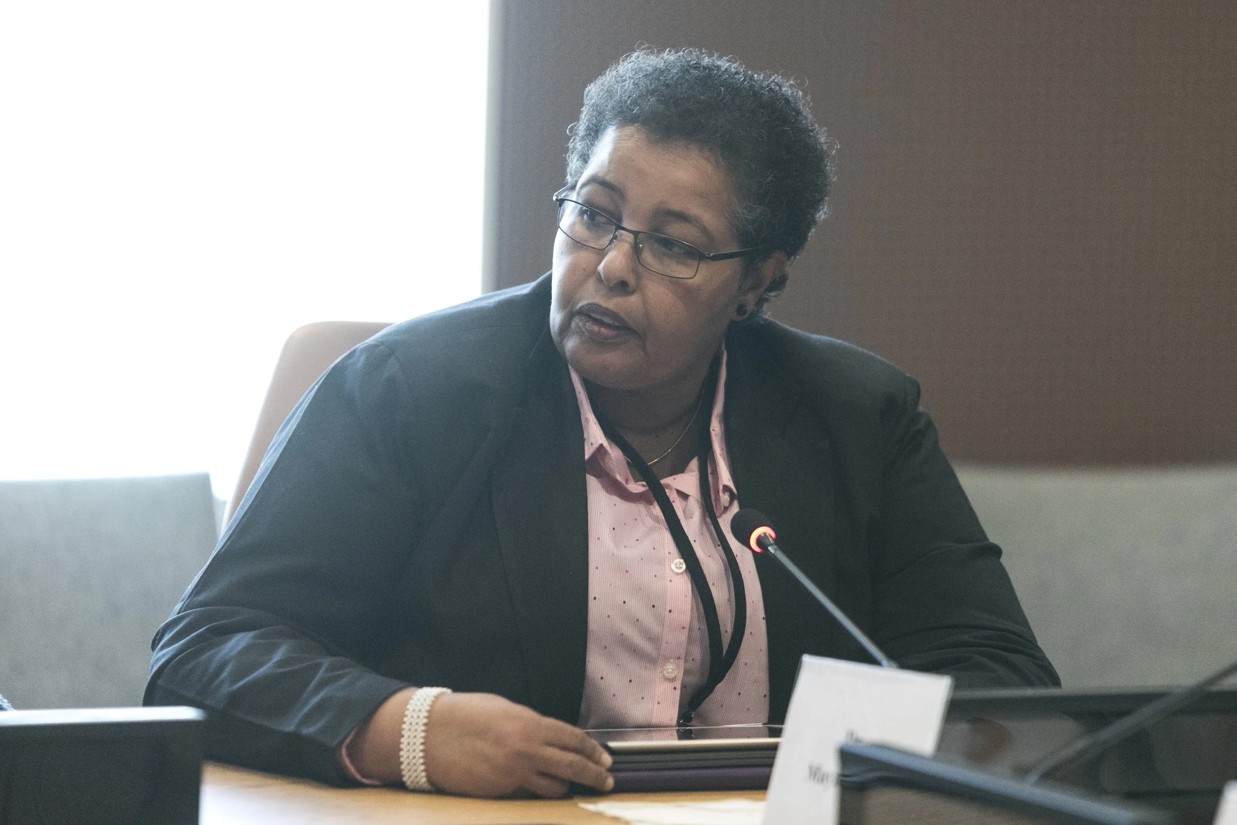 A photo of activist Faiza Jama Mohamed addressing a meeting