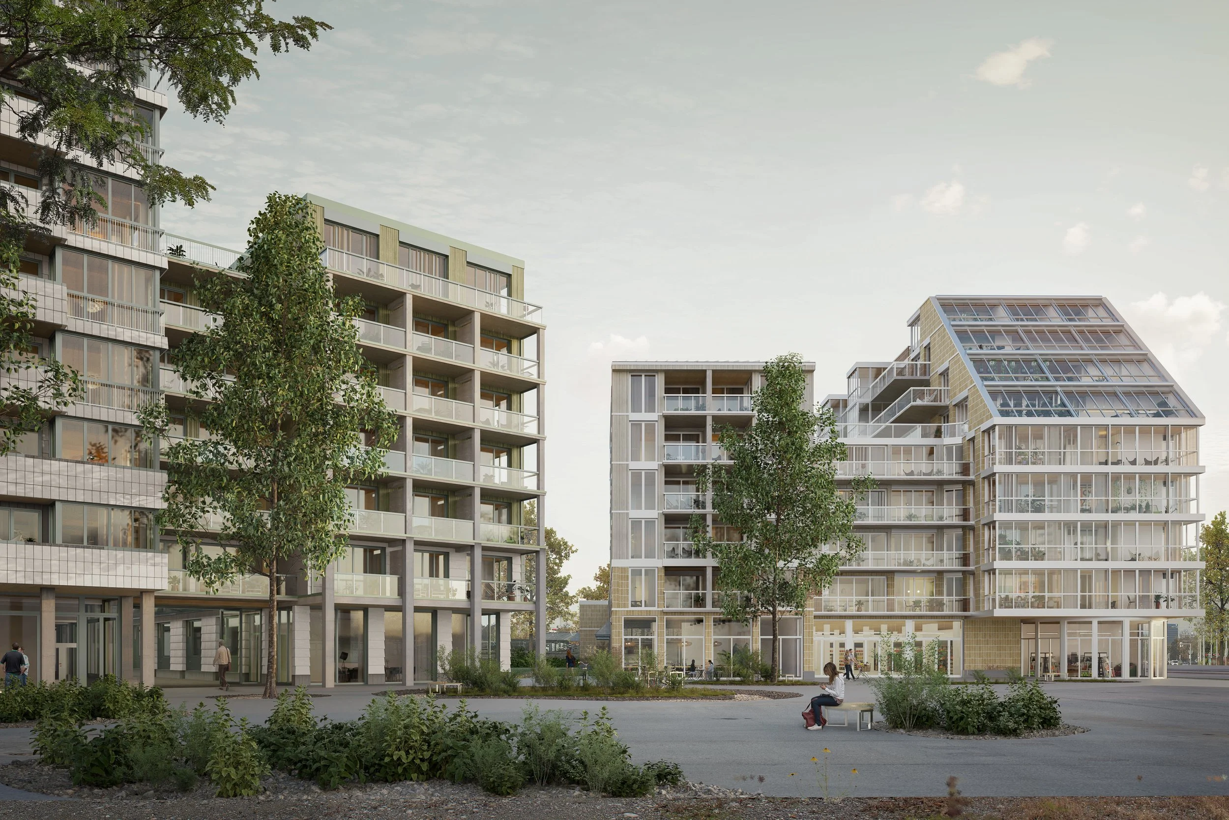 Baumberger Stegmeier