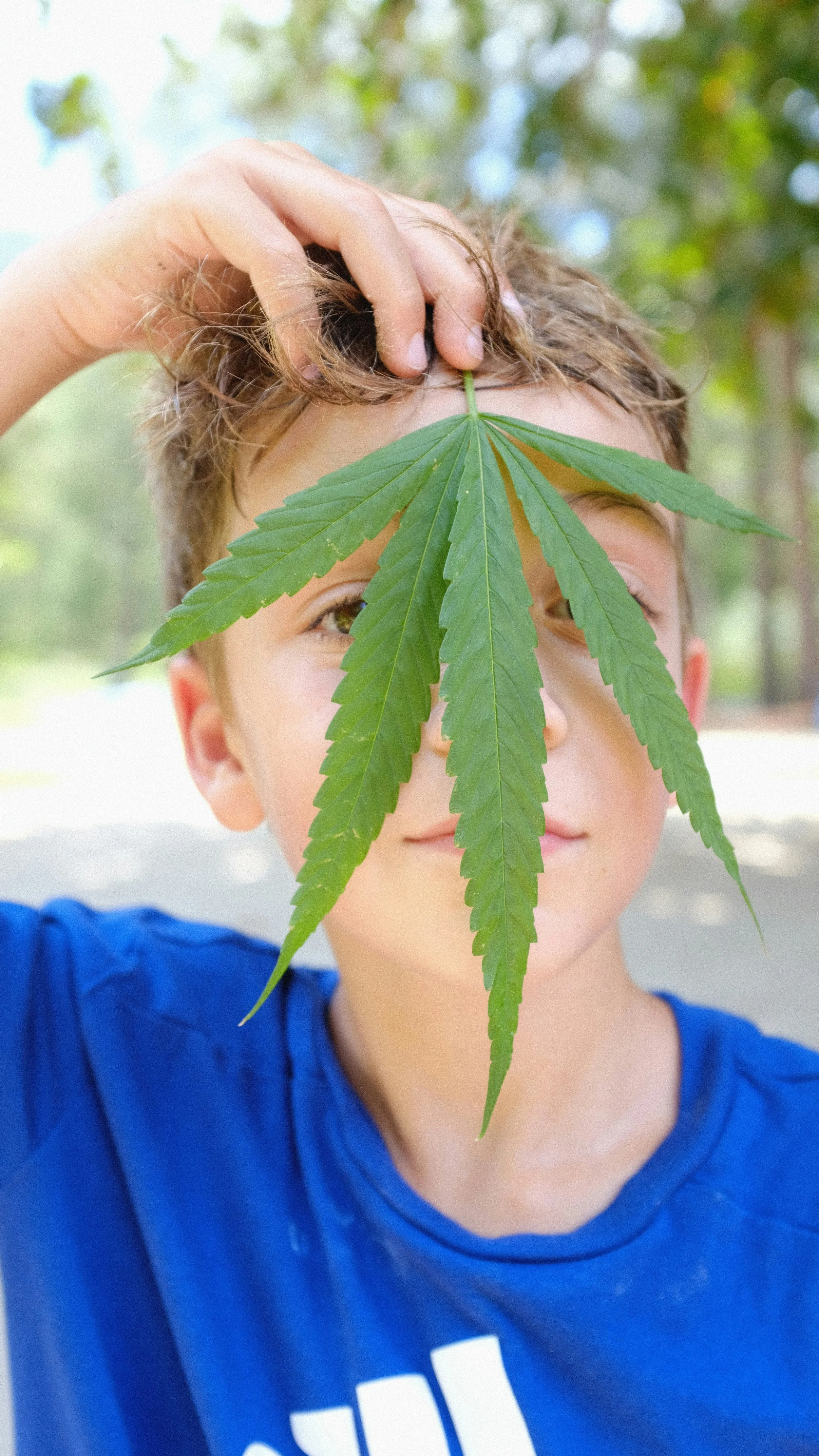 What I Wish I'd Known About THC and the Teenage Brain