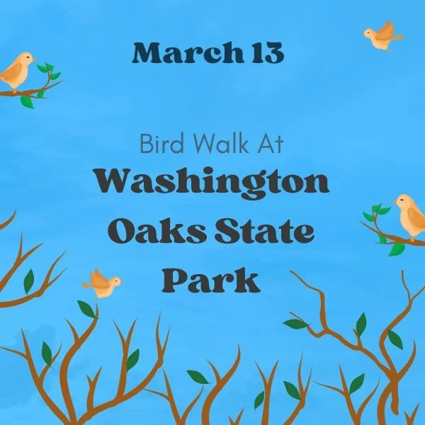 Washington Oaks State Park