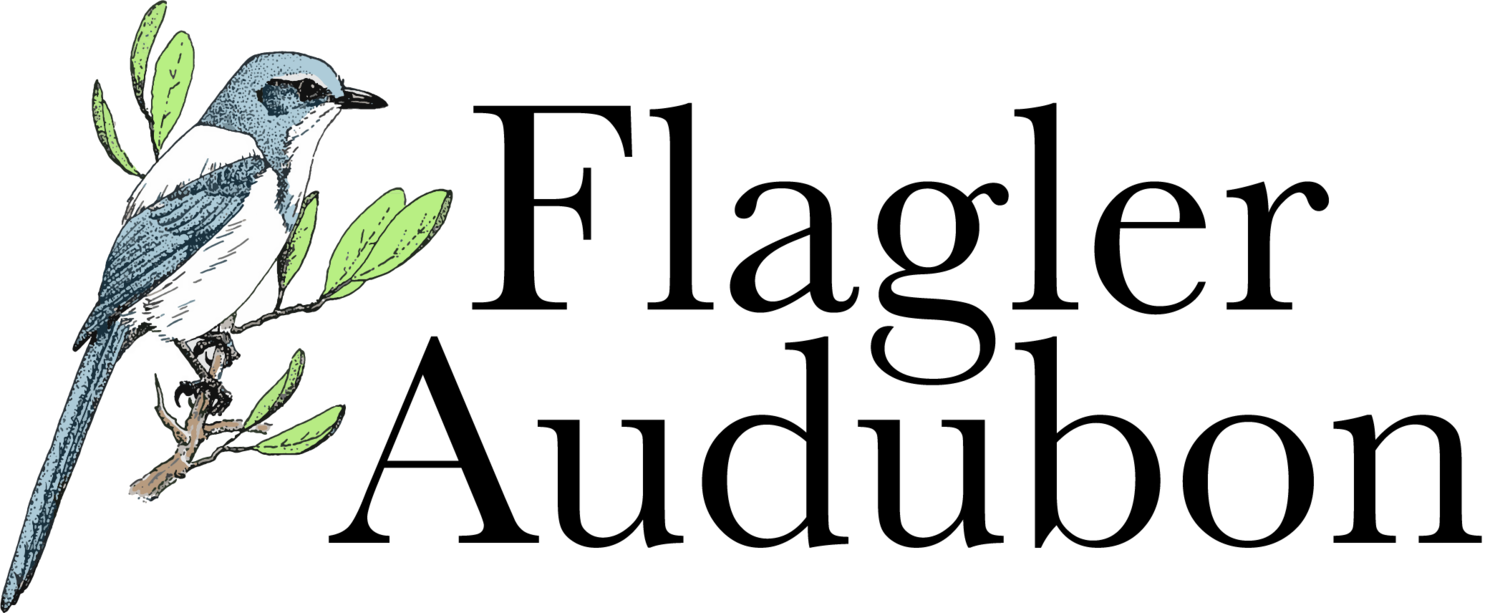 Flagler Audubon Society