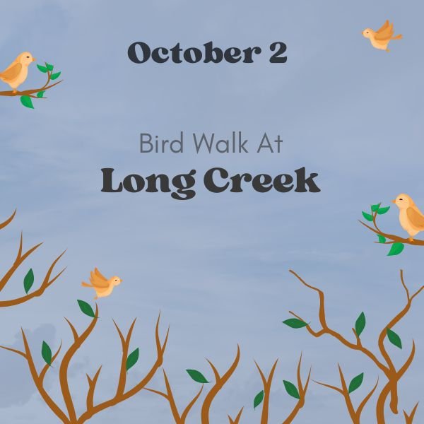 Bird Walk to Long Creek