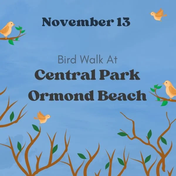 Bird Walk to Central Park Ormond Beach
