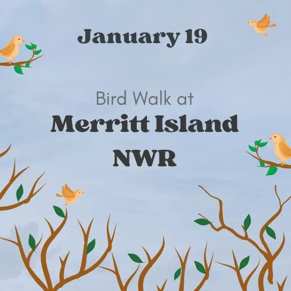 Merritt Island NWR