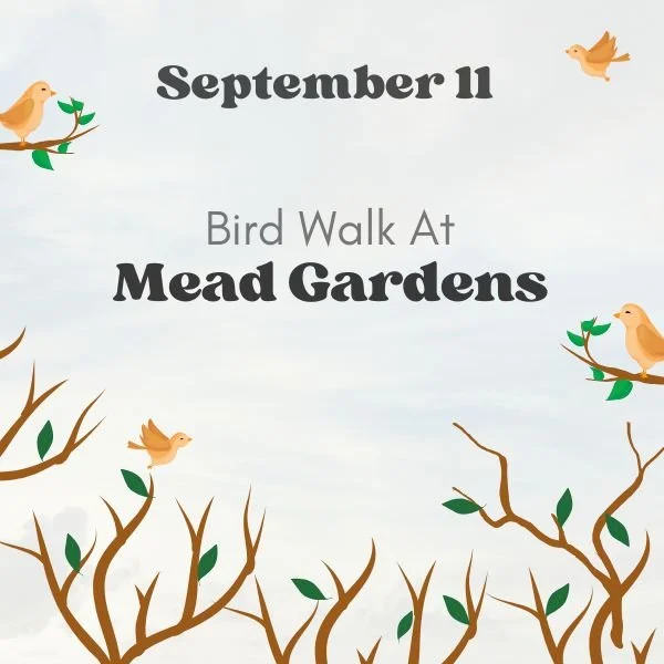 Bird Walk to Mead Gardens