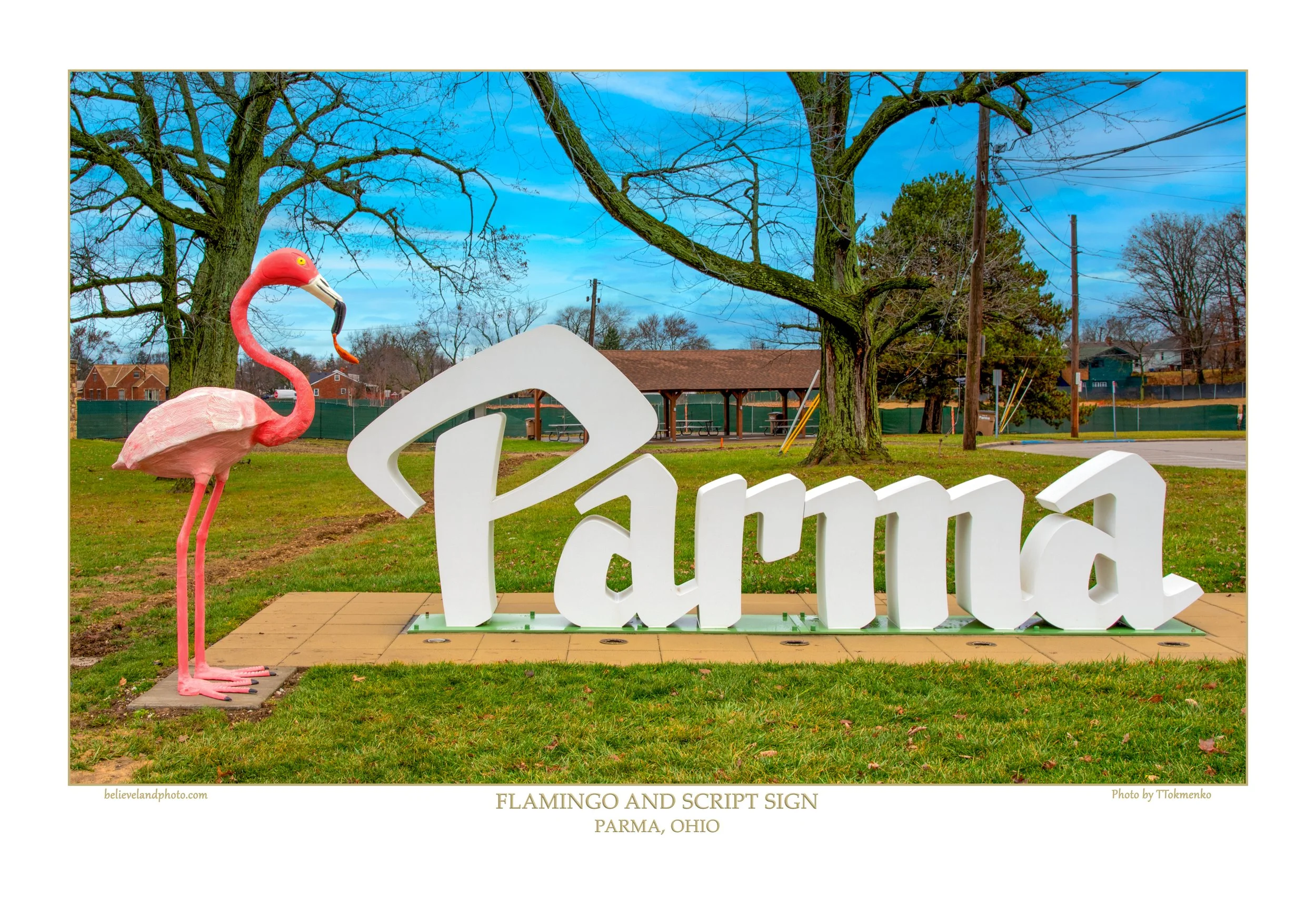 Ohio Parma Photography Services