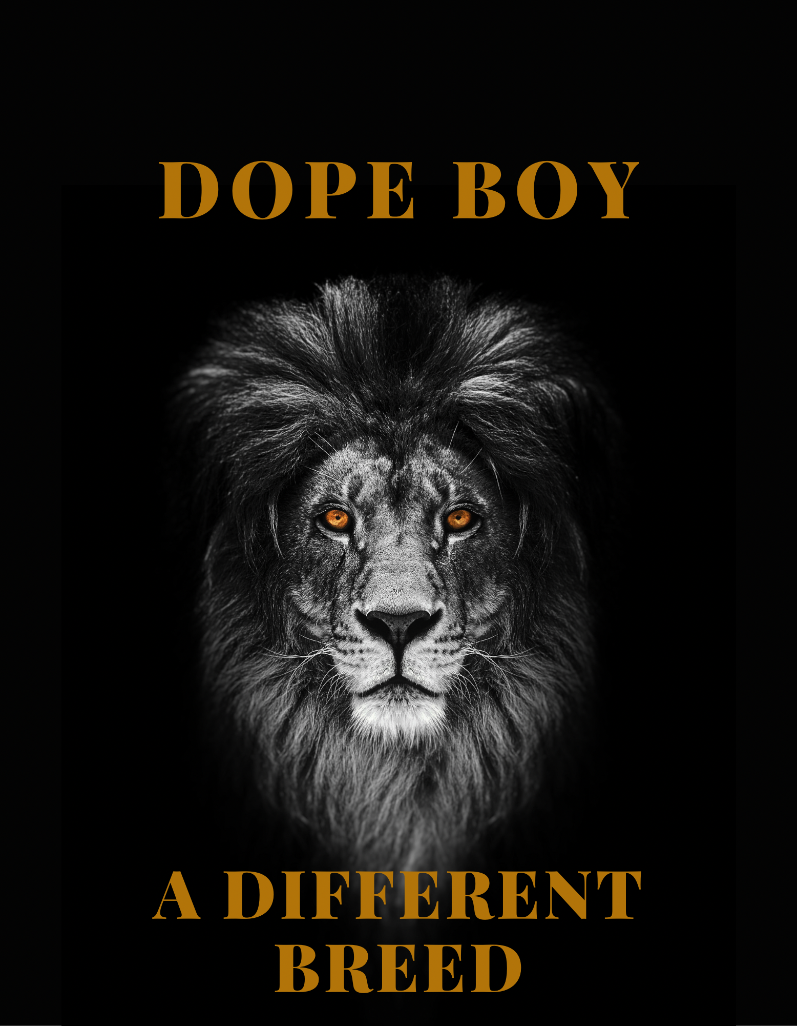  Lion2.png