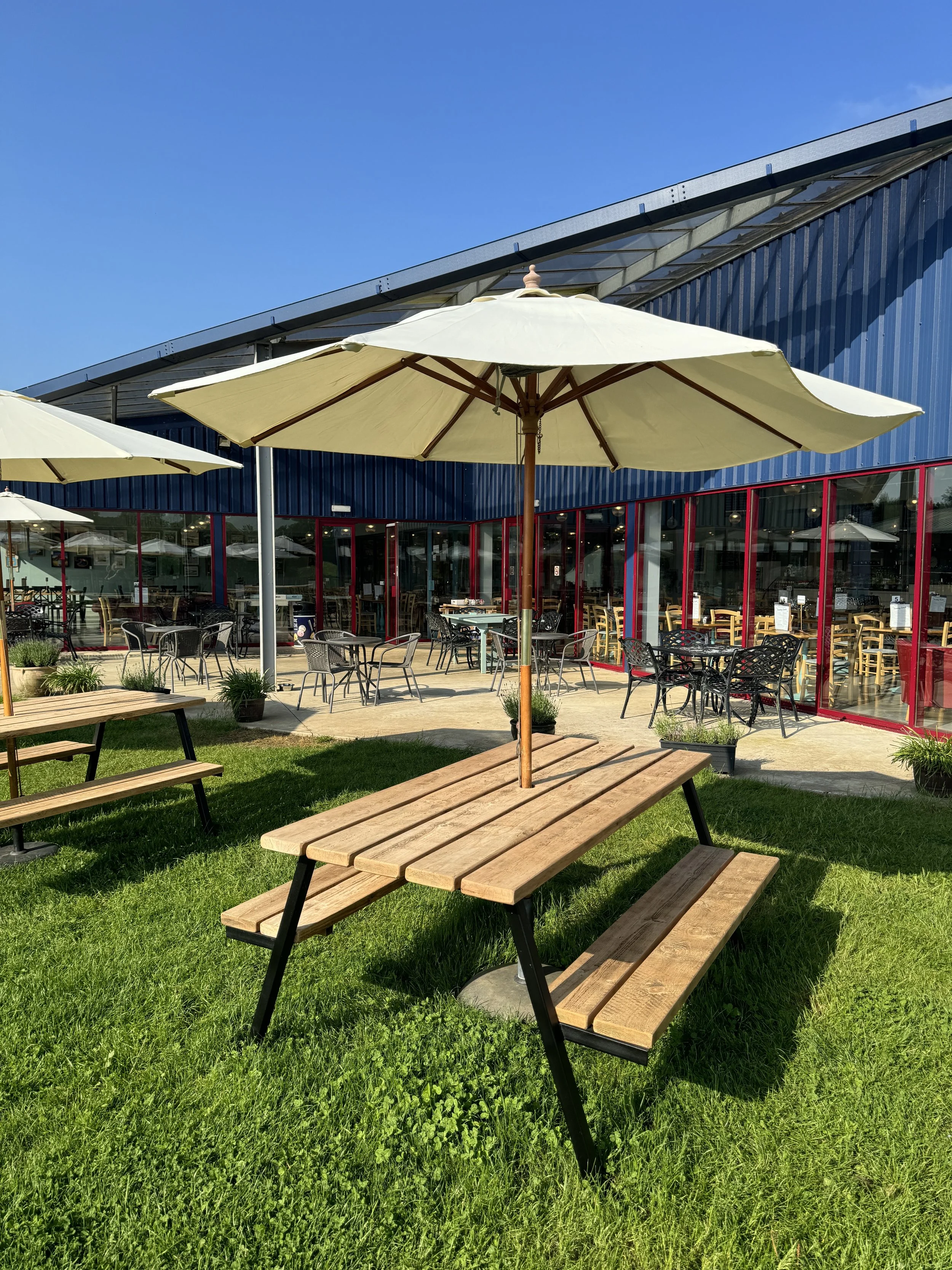 Outdoor seating area with wooden picnic tables and umbrellas on grass, near a modern building with large windows.