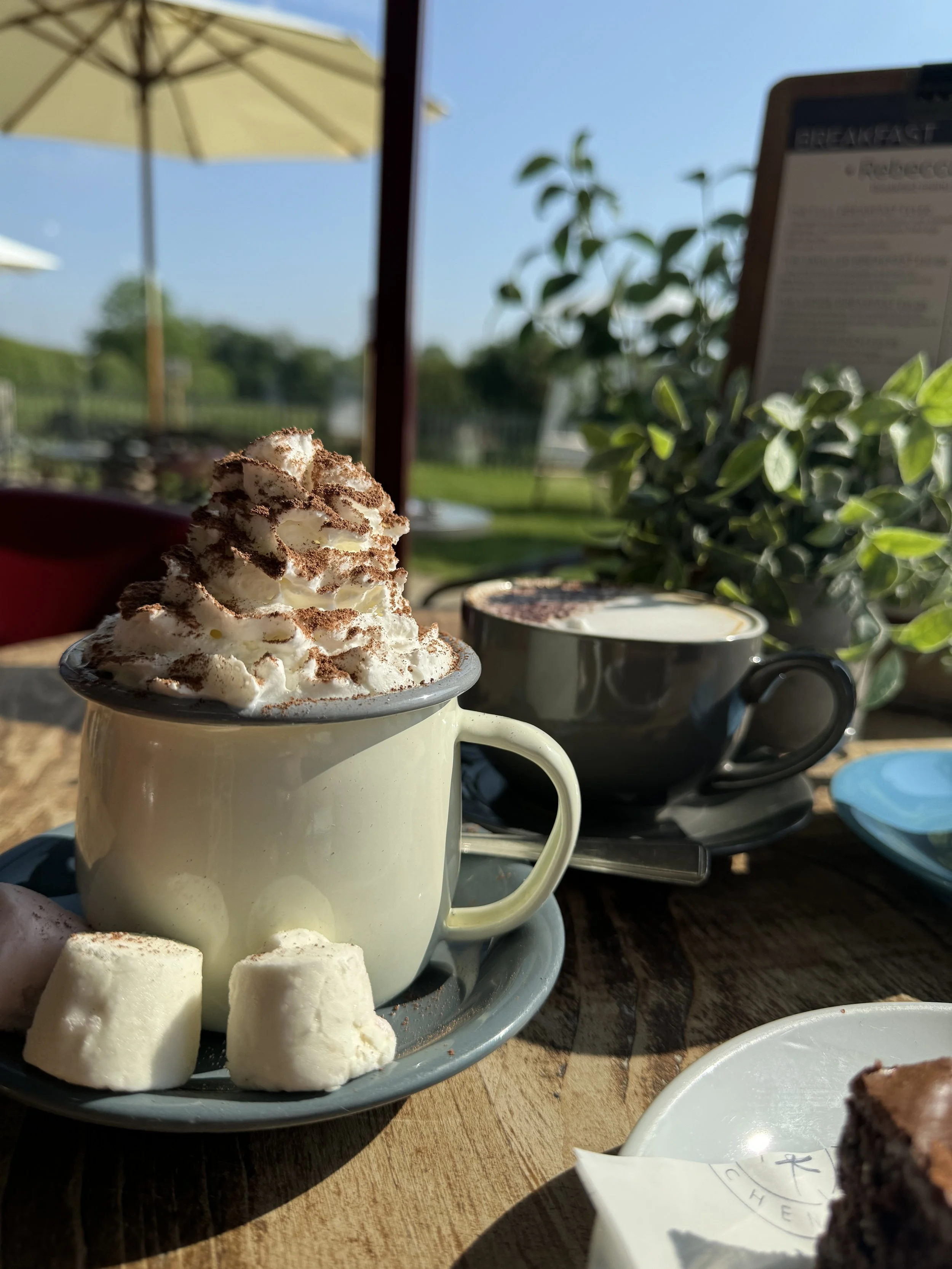 A mug of hot chocolate topped with whipped cream and cocoa powder, served on a saucer with marshmallows. A cup of coffee and a piece of chocolate cake are also visible on the table, with outdoor seating and greenery in the background.