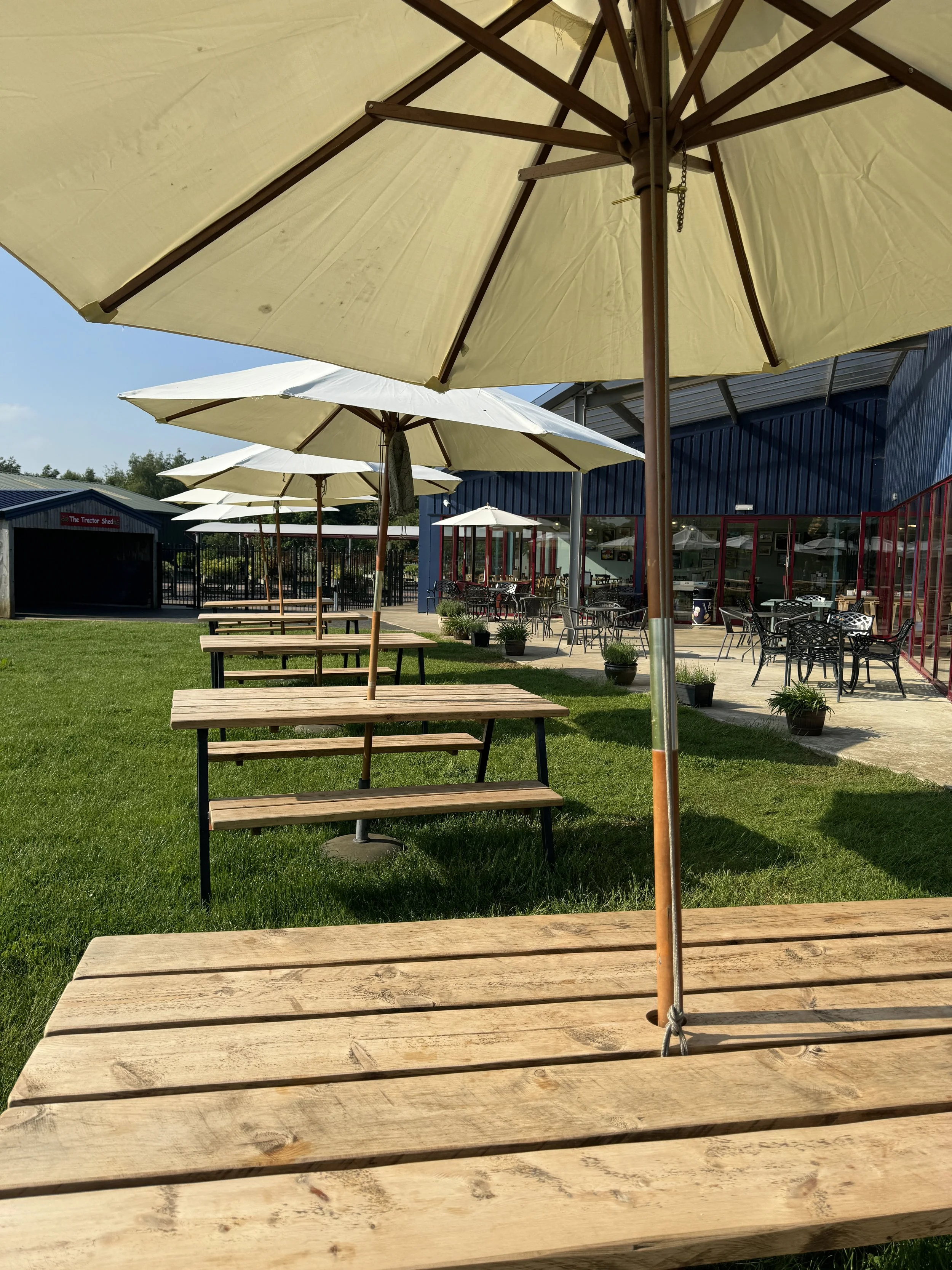 Outdoor cafe seating area with wooden picnic tables and large umbrellas on a lawn, adjacent to a building and a shed labeled "The Tractor Shed."