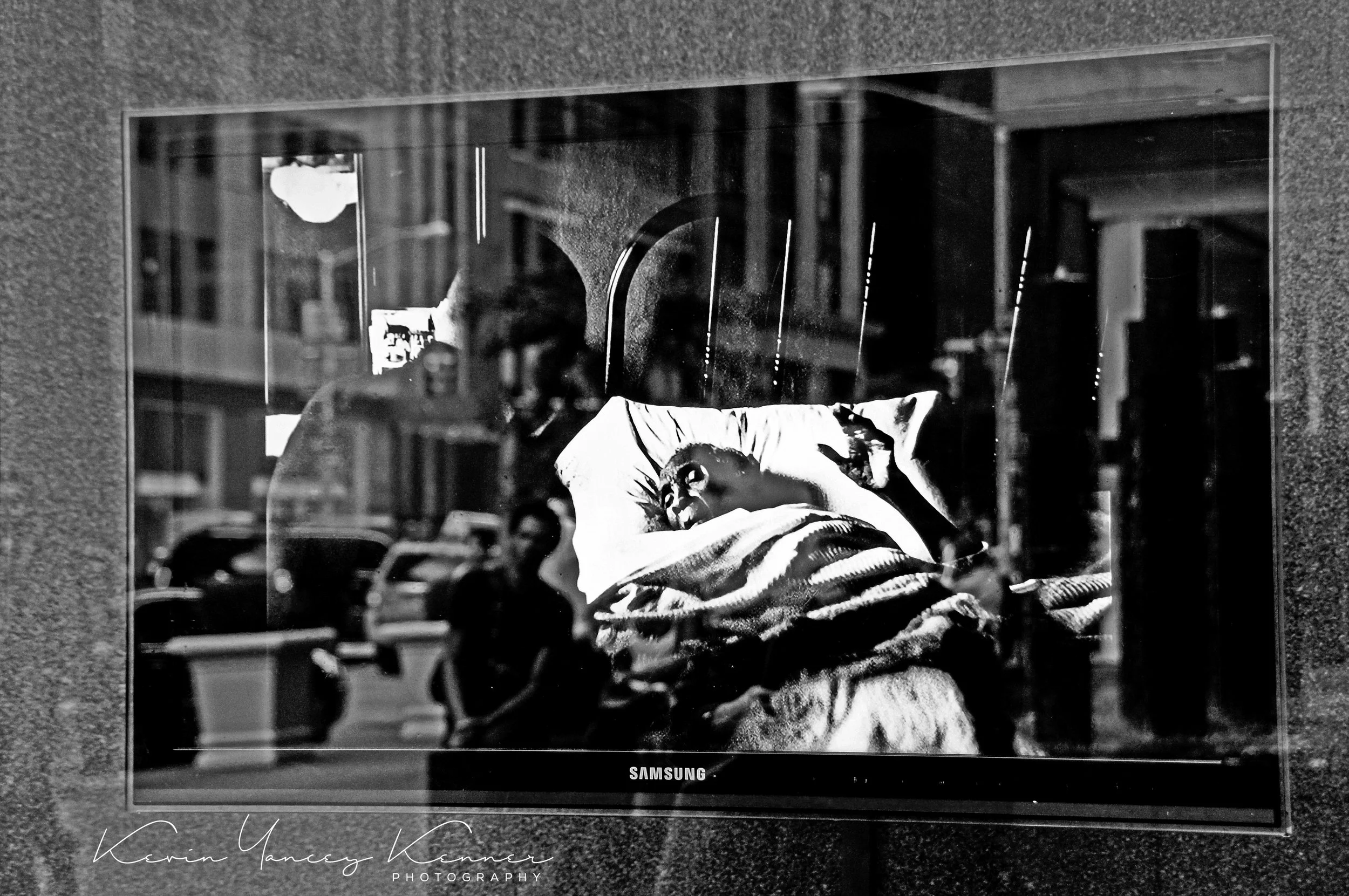 DSC08738fhcdsig.jpg