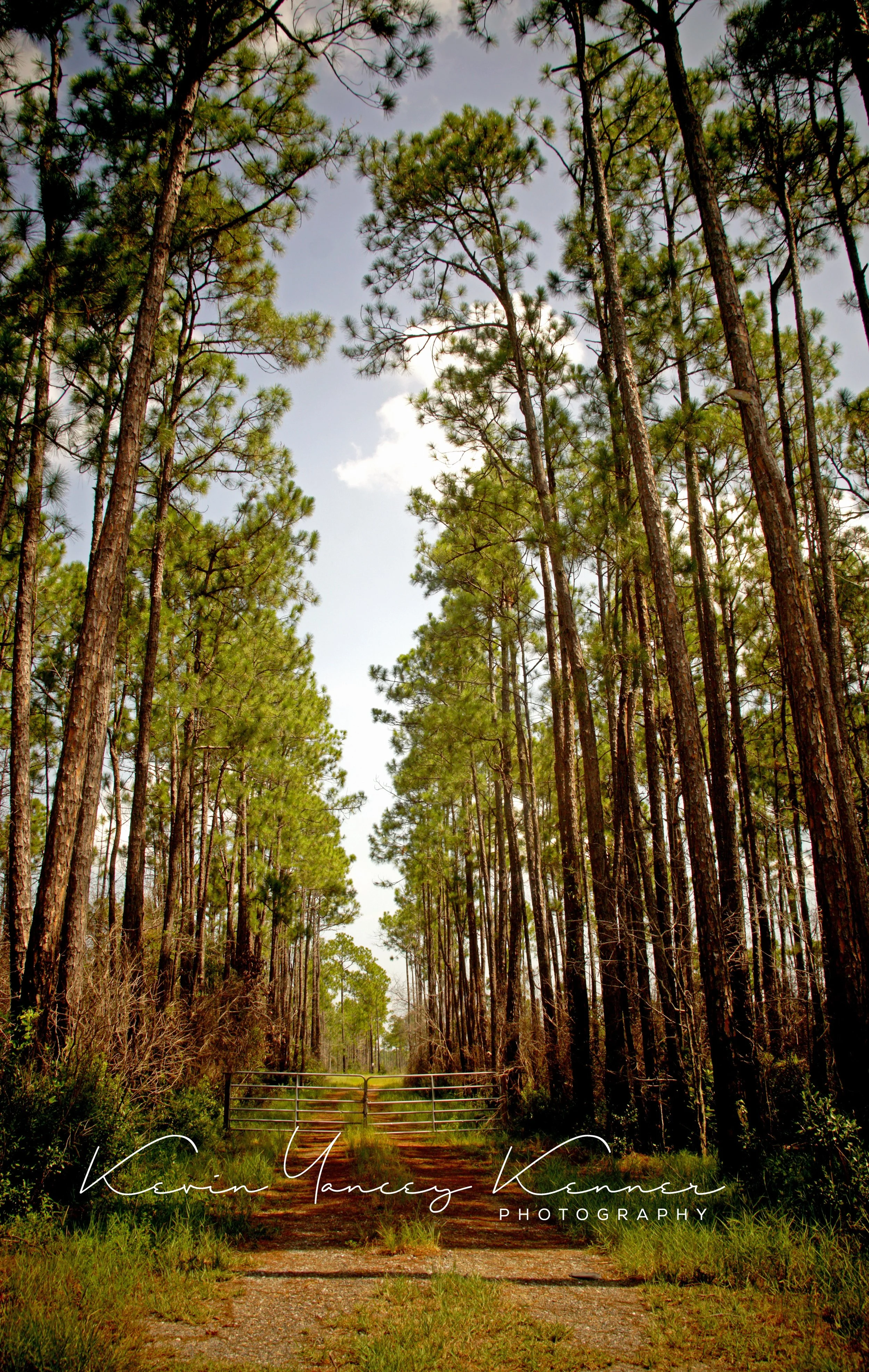 DSC00589f2sig copy.jpg