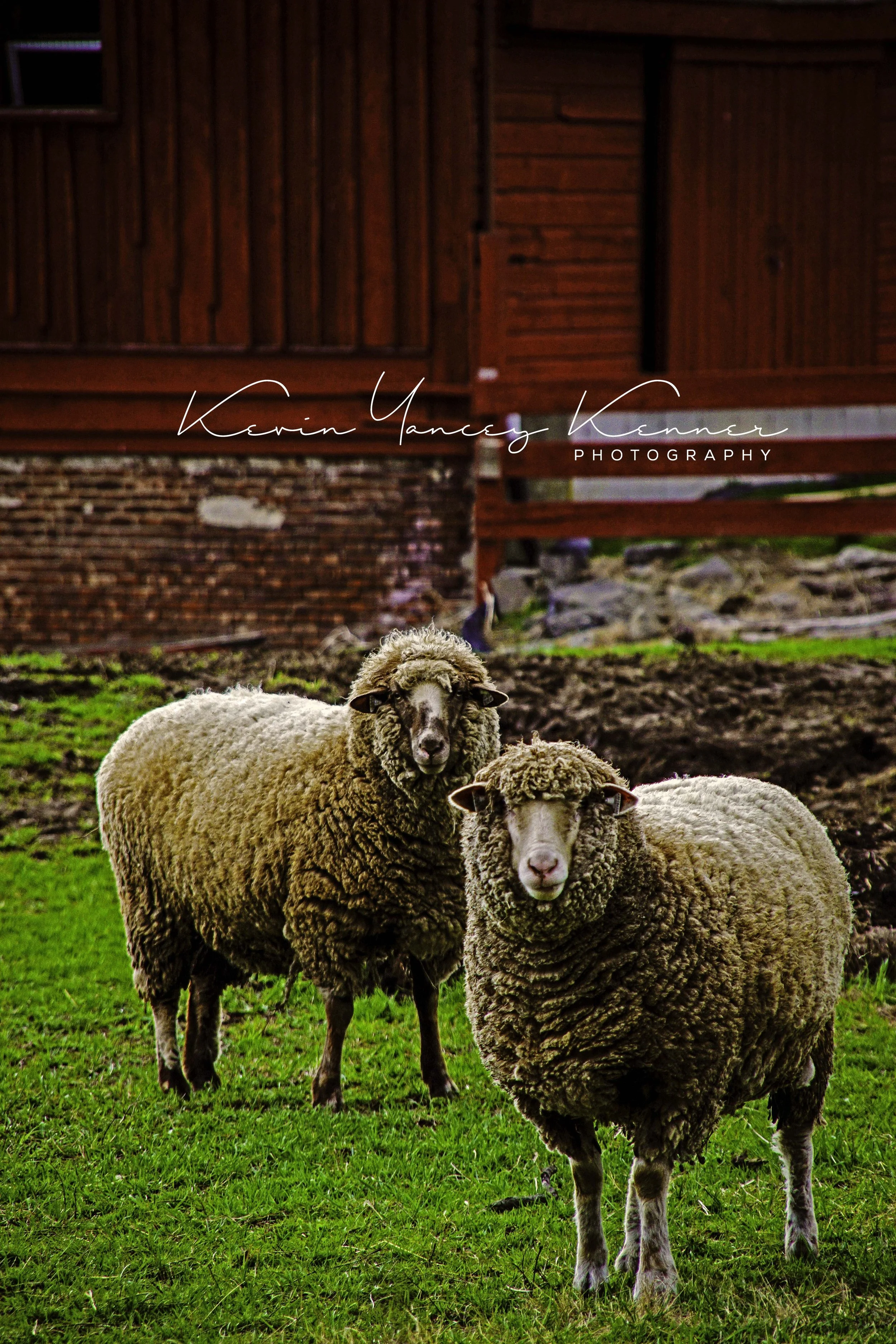 DSC00920fmod3asig copy.jpg