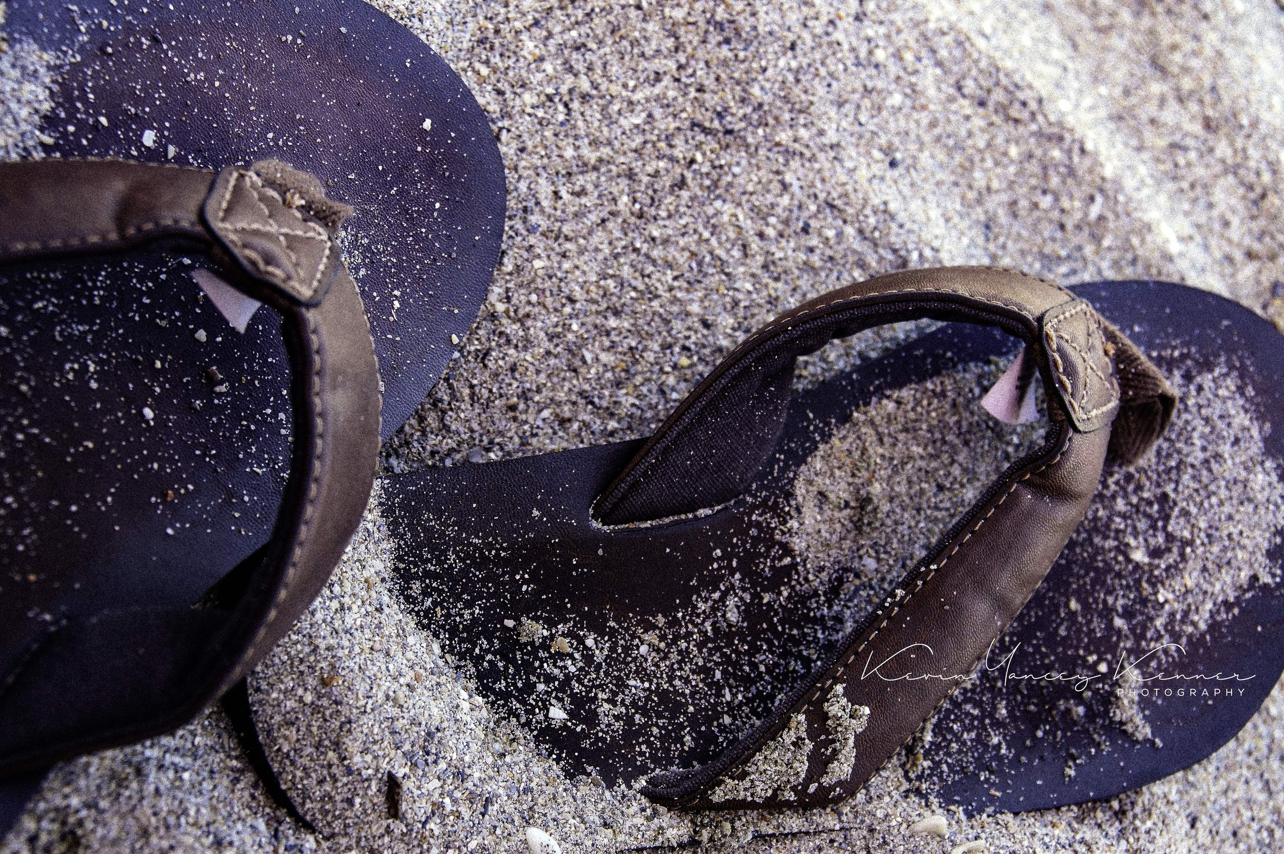 DSC09291f1lr7sig copy.jpg