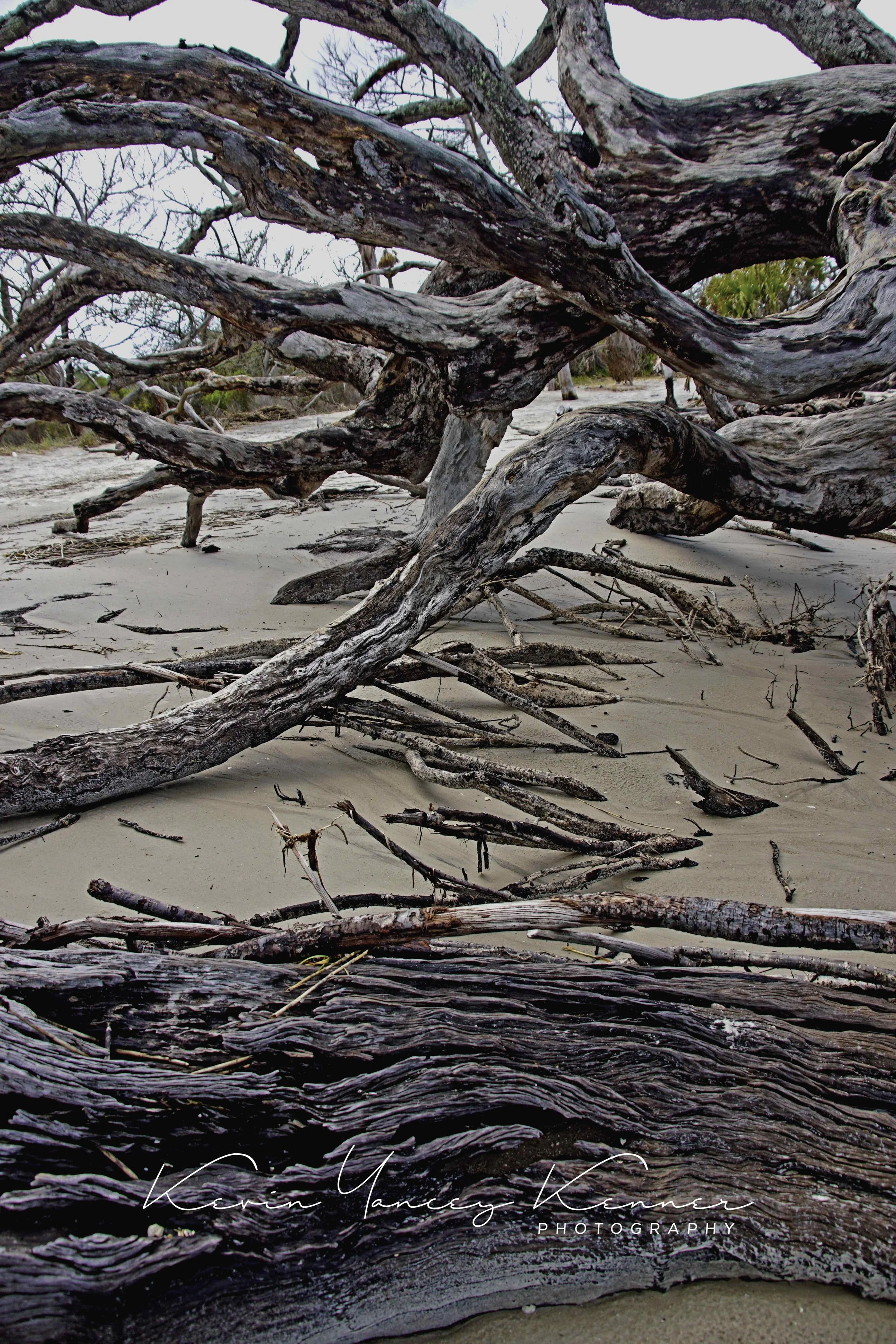 DSC05029ftrsig copy.jpg