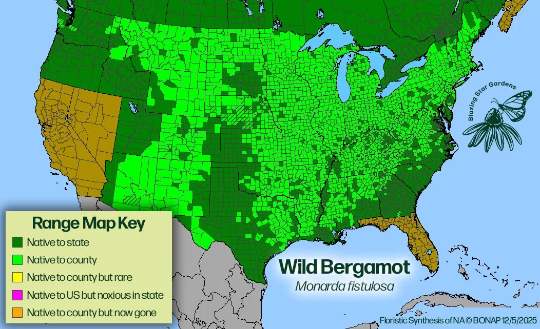 Native-range-map-for-Wild-Bergamot-Monarda-fistulosa-Native-plant-wild-flower-nursery.jpg