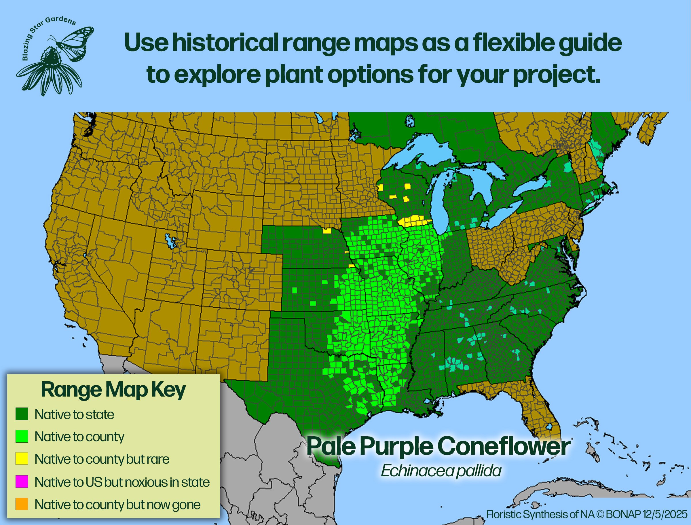 Native-range-map-Pale-Purple-Coneflower-Echinacea-pallida-Native-plant.jpg