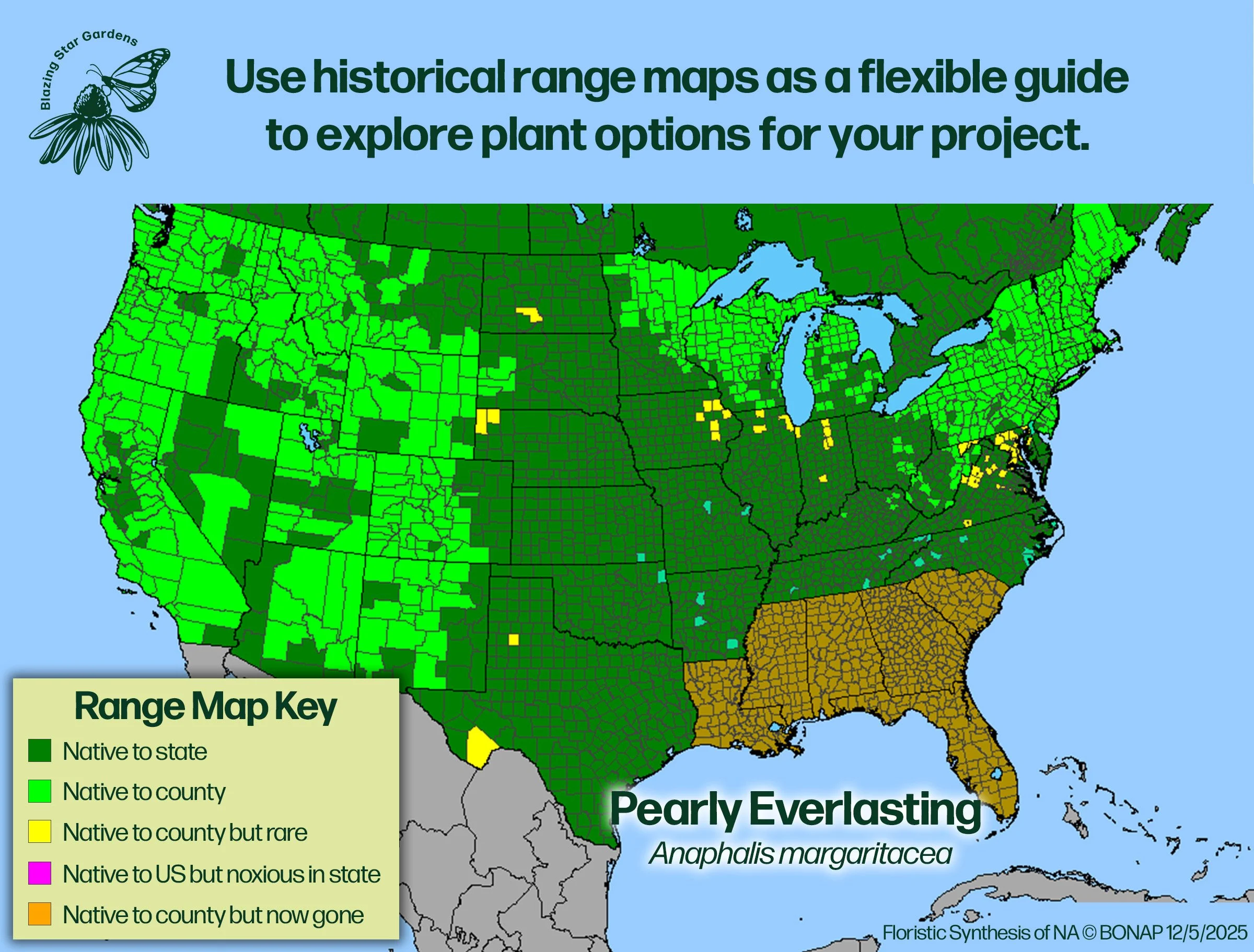 Native-range-map-Pearly-Everlasting-Anaphalis-margaritacea-Native-plant.jpg