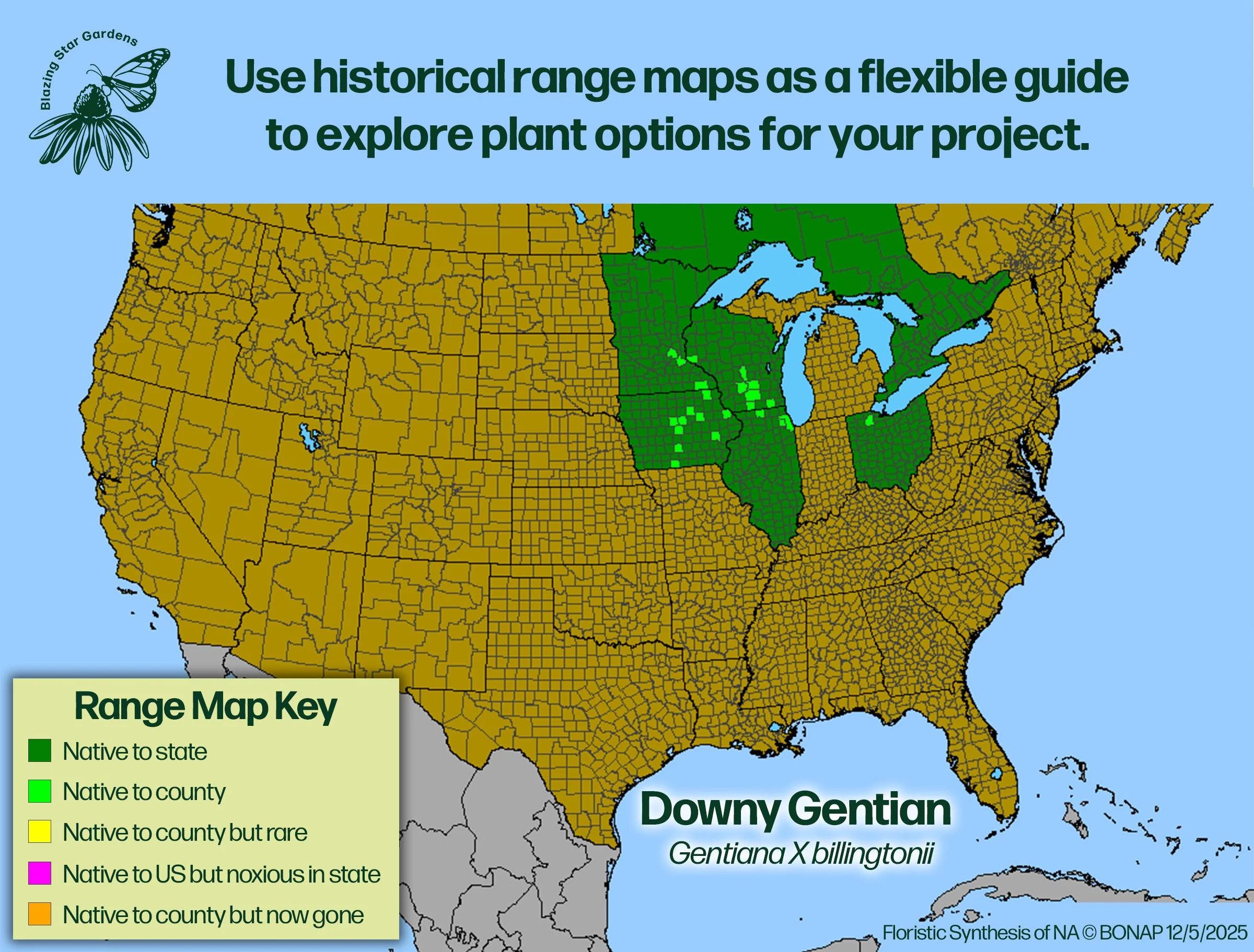 Native-range-map-for-Downy-Gentian-Gentiana-X-billingtonii-Native-plant-wild-flower-nursery.jpg