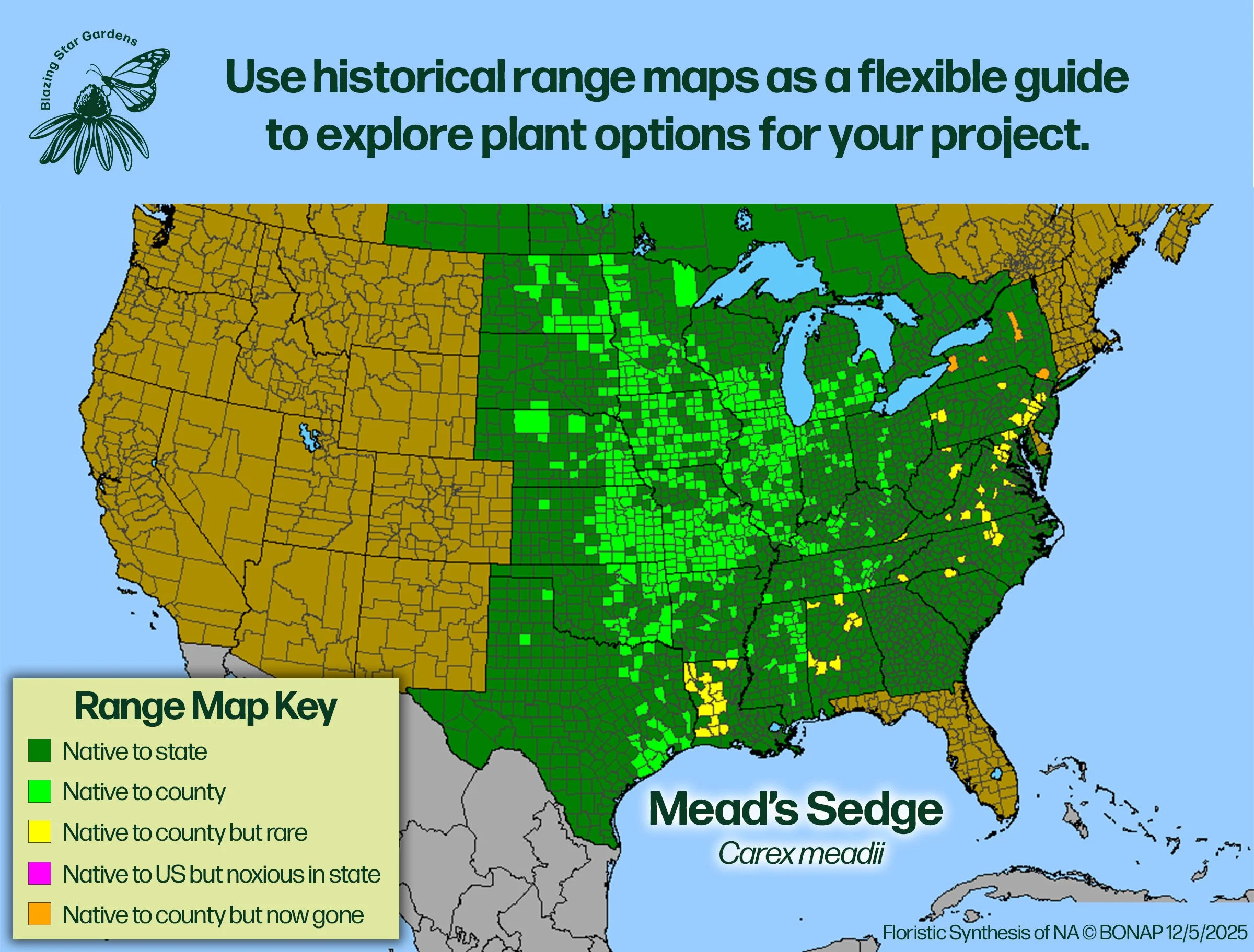 Native-range-map-for-Mead's-Sedge-Carex-meadii-Native-plant-wild-flower-nursery.jpg