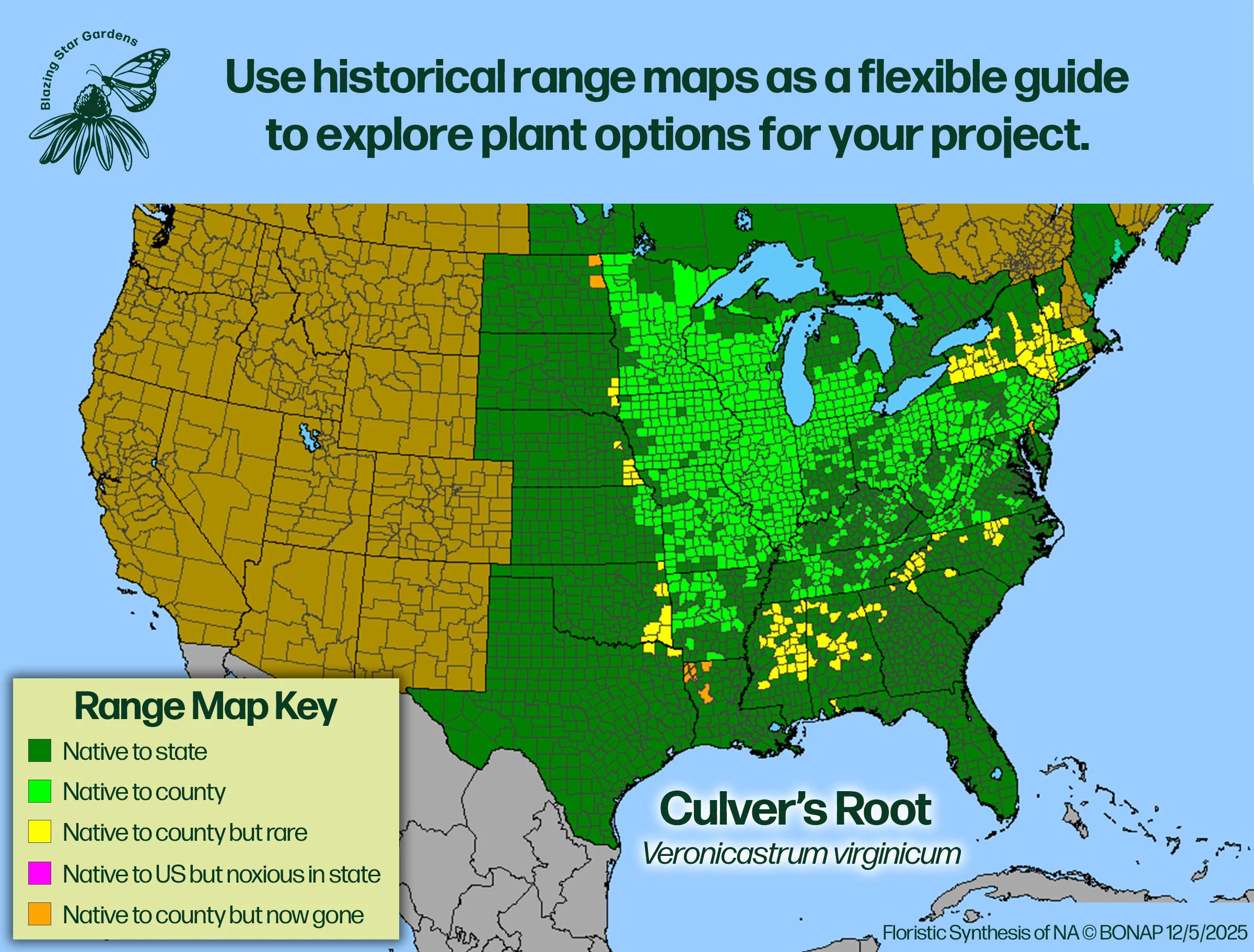 Native-range-map-Culvers-Root-Veronicastrum-virginicum-Native-plant.jpg