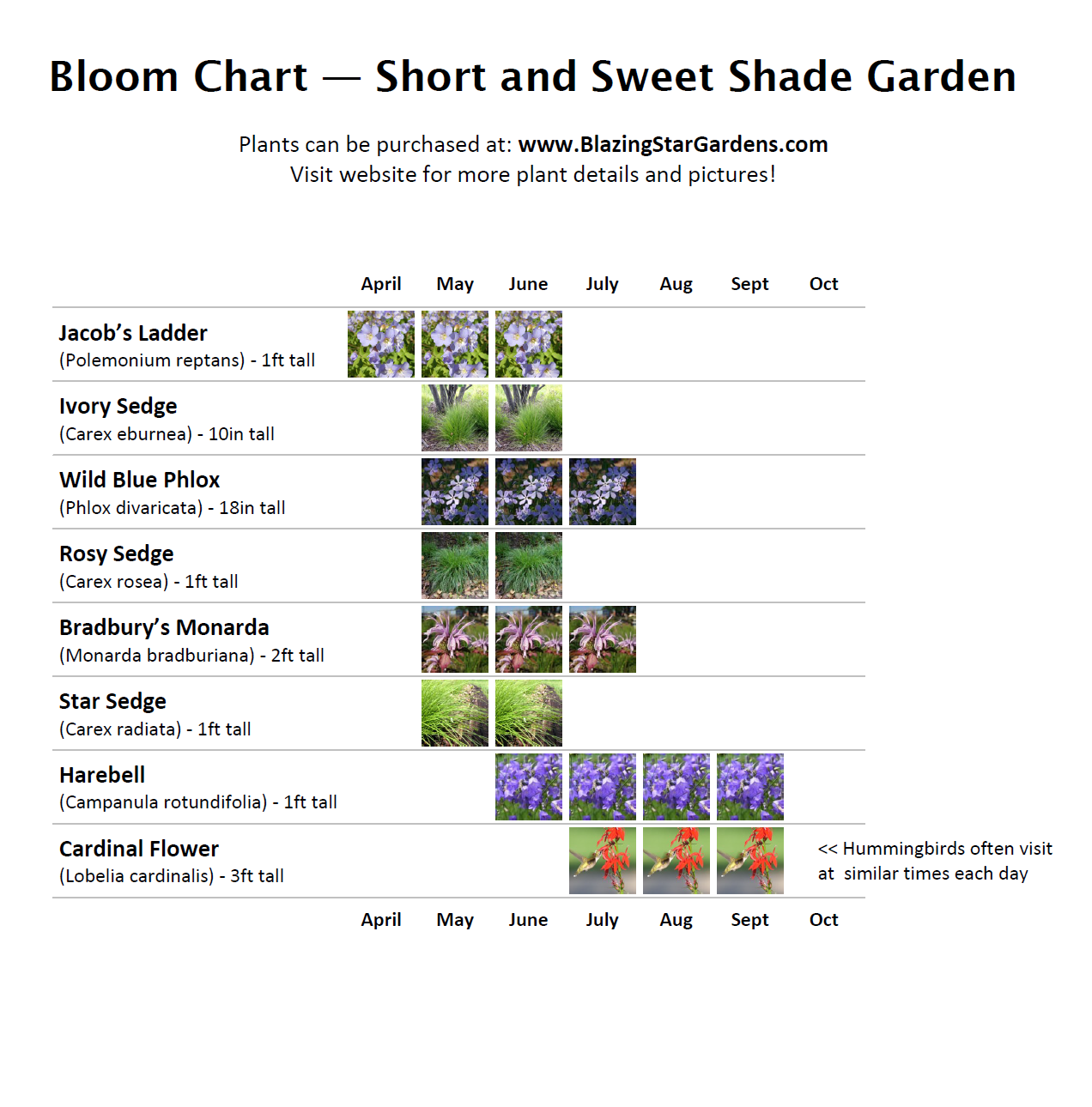 Click for full-size printable Bloom Chart