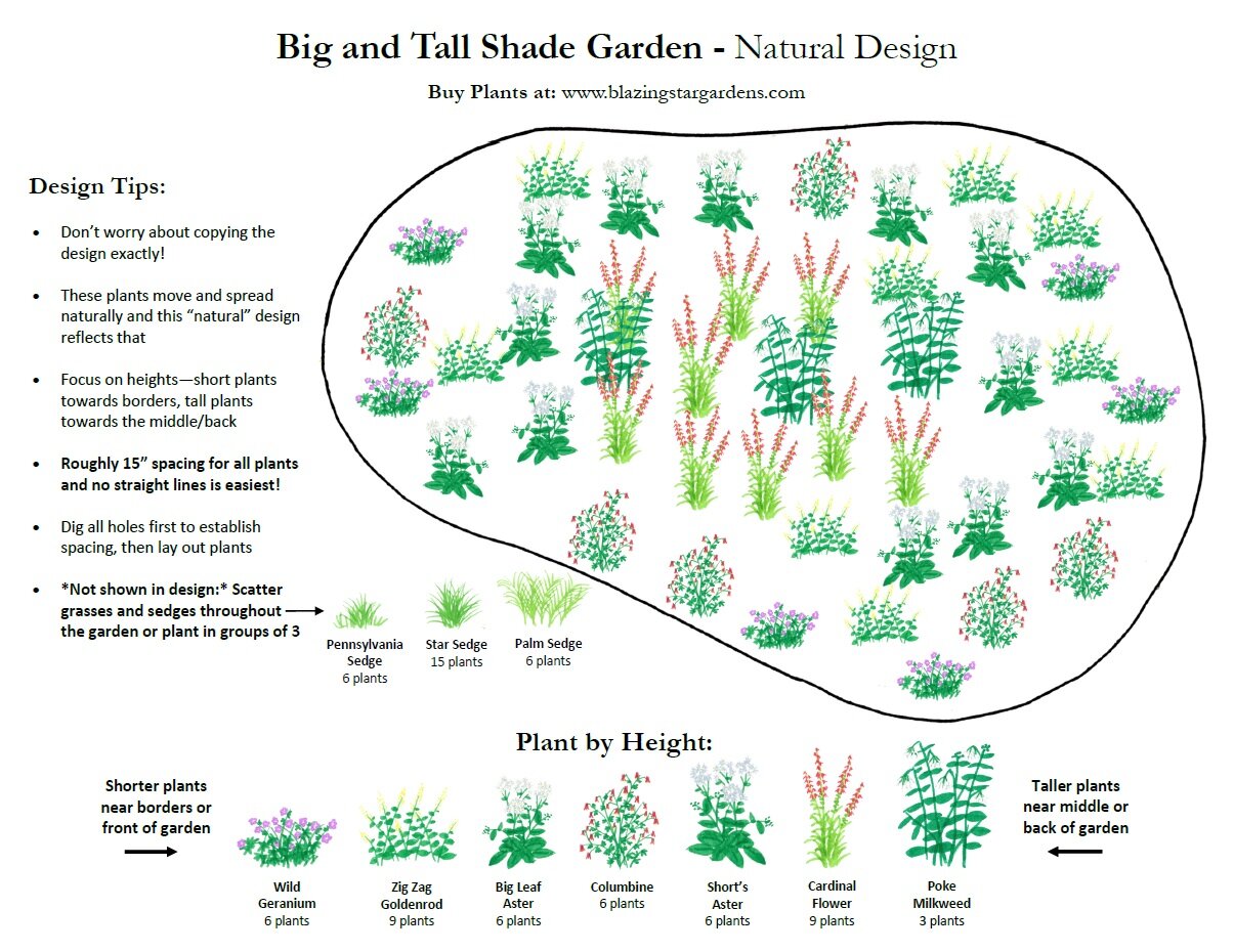 free-big-and-tall-shade-pollinator-garden-design-blazing-star-gardens