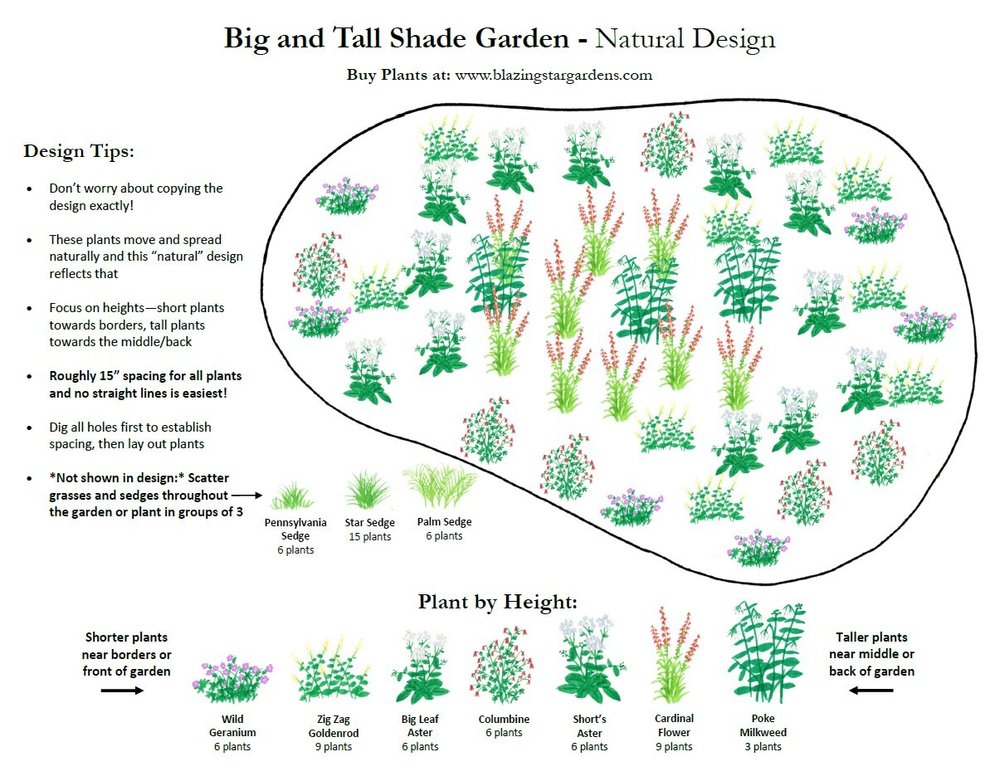 Free Big and Tall Shade Pollinator Garden Design — Blazing Star Gardens