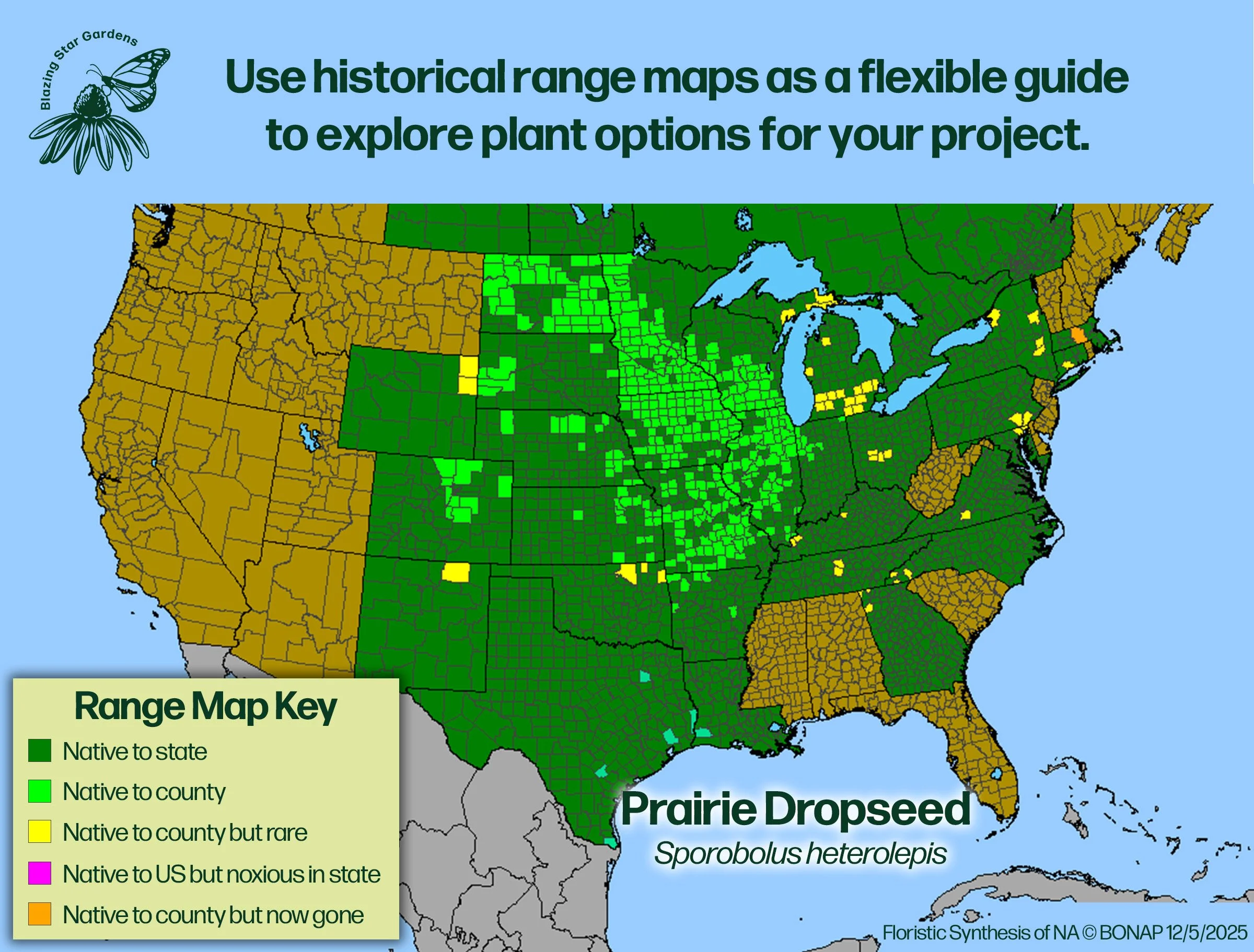 Native-range-map-Prairie-Dropseed-Sporobolus-heterolepis-Native-plant.jpg