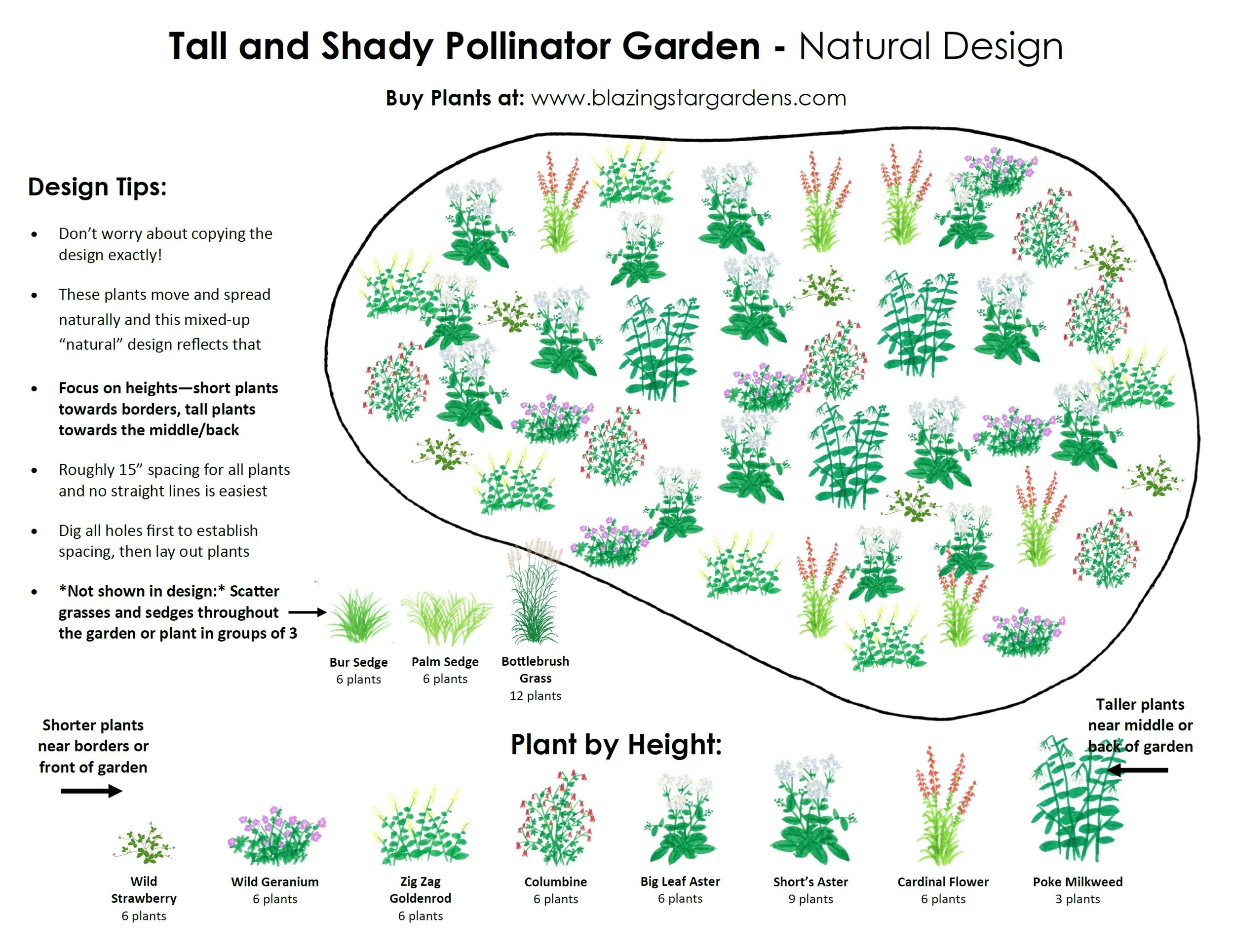 Rain Garden Kit Sun 72 plants — Blazing Star Gardens