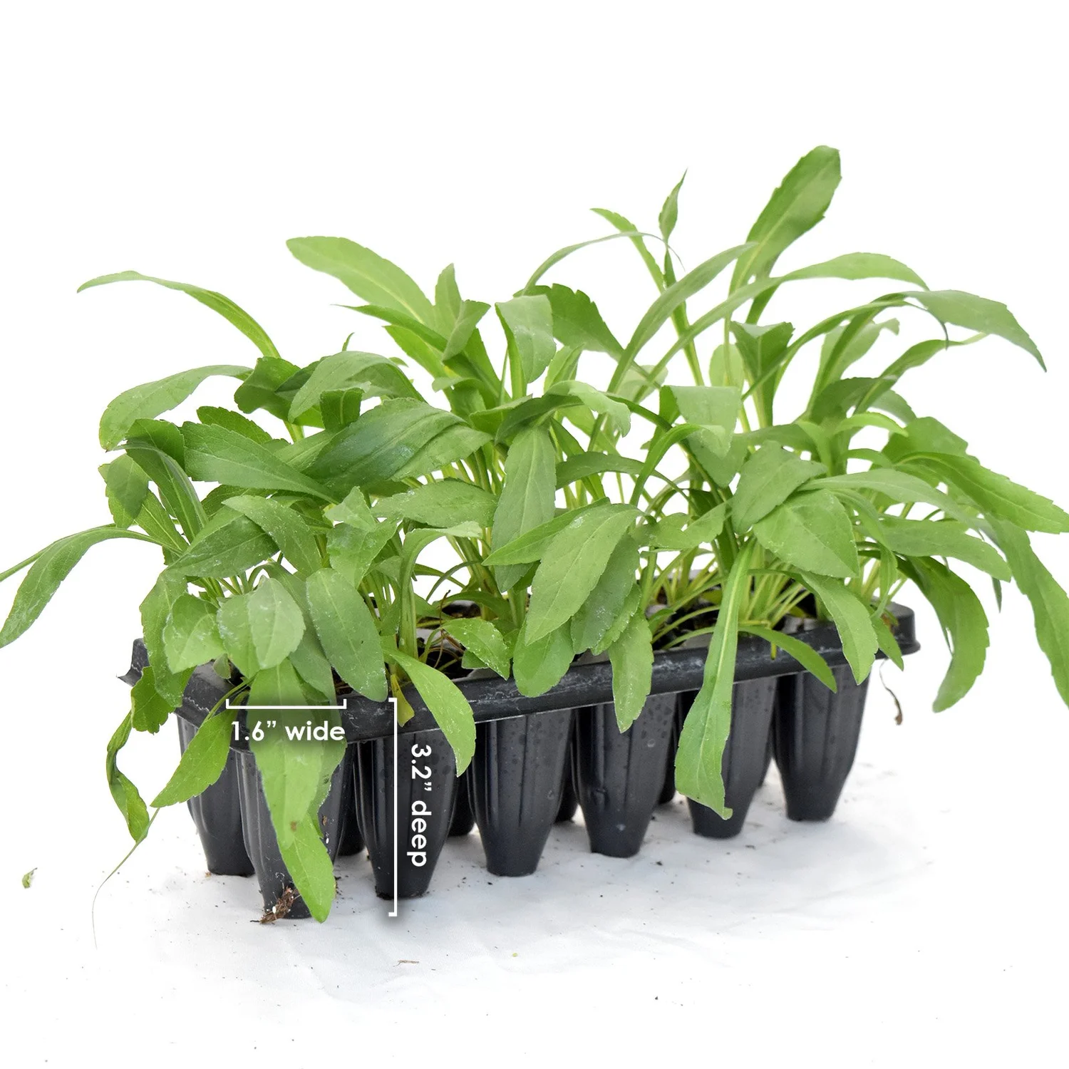 planter lotus Marble Lotus Planter main image 0