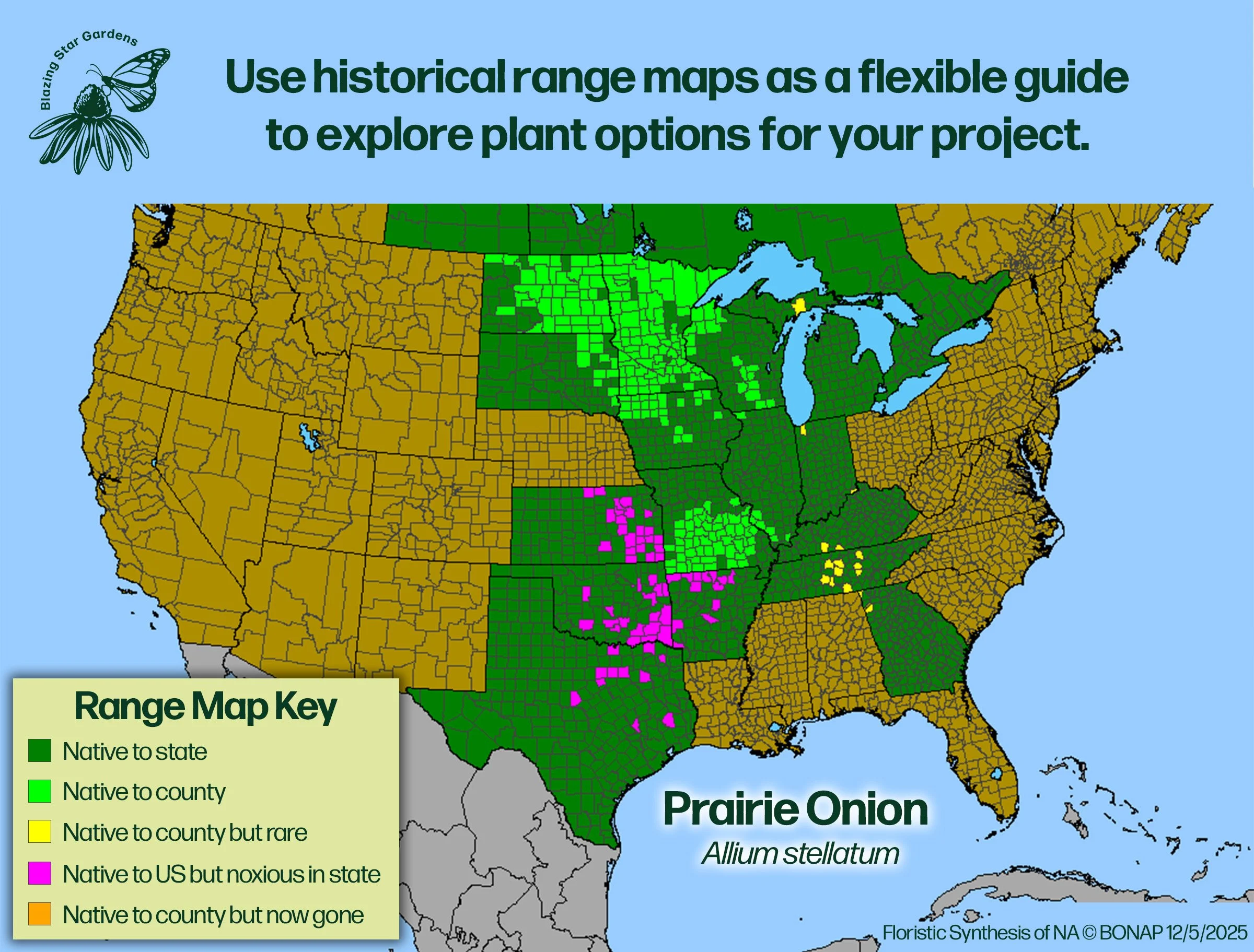 Native-range-map-for-Prairie-Onion-Allium-stellatum-Native-plant-wild-flower-nursery.jpg