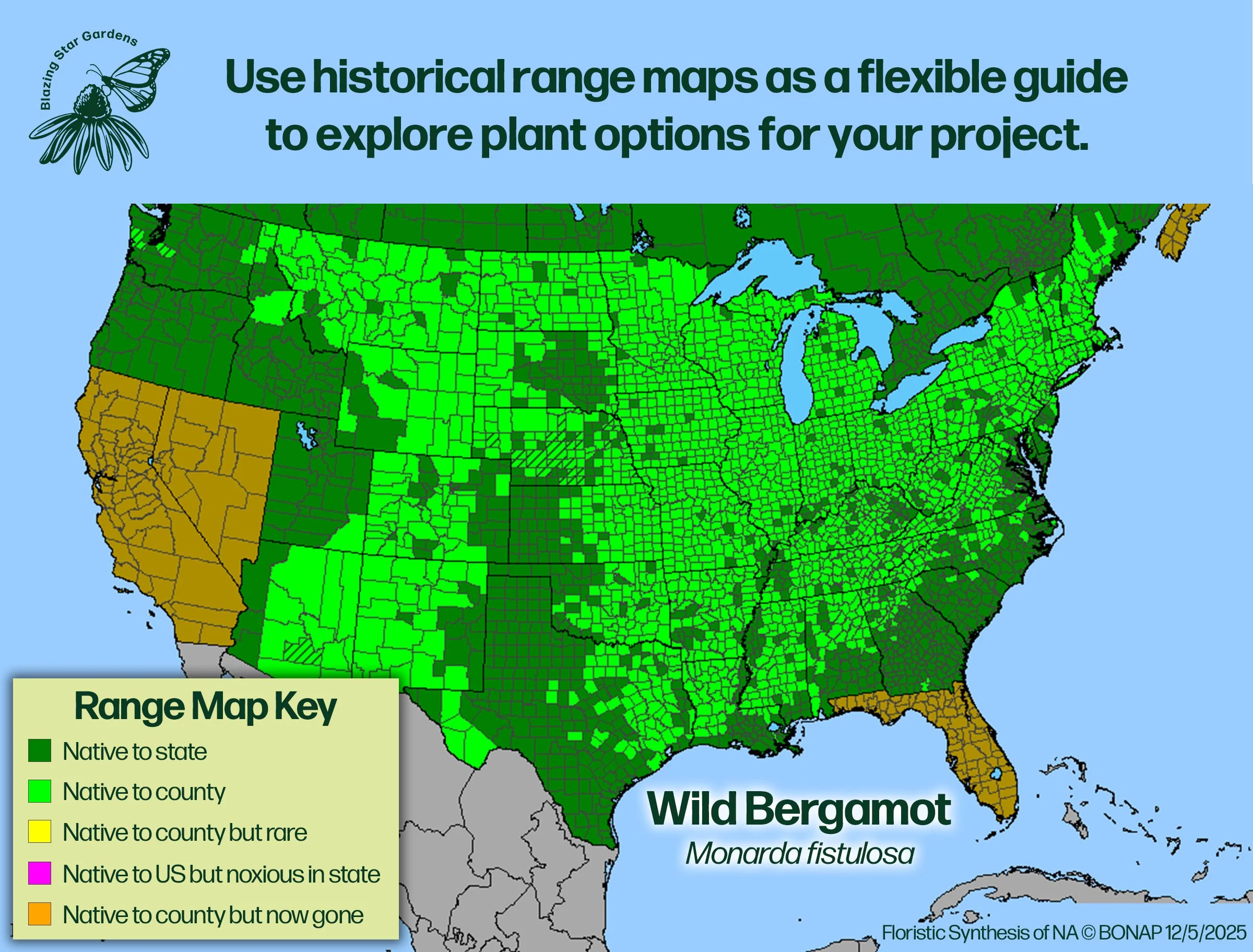Native-range-map-Wild-Bergamot-Bee-Balm-Monarda-fistulosa-Native-plant-wild.jpg