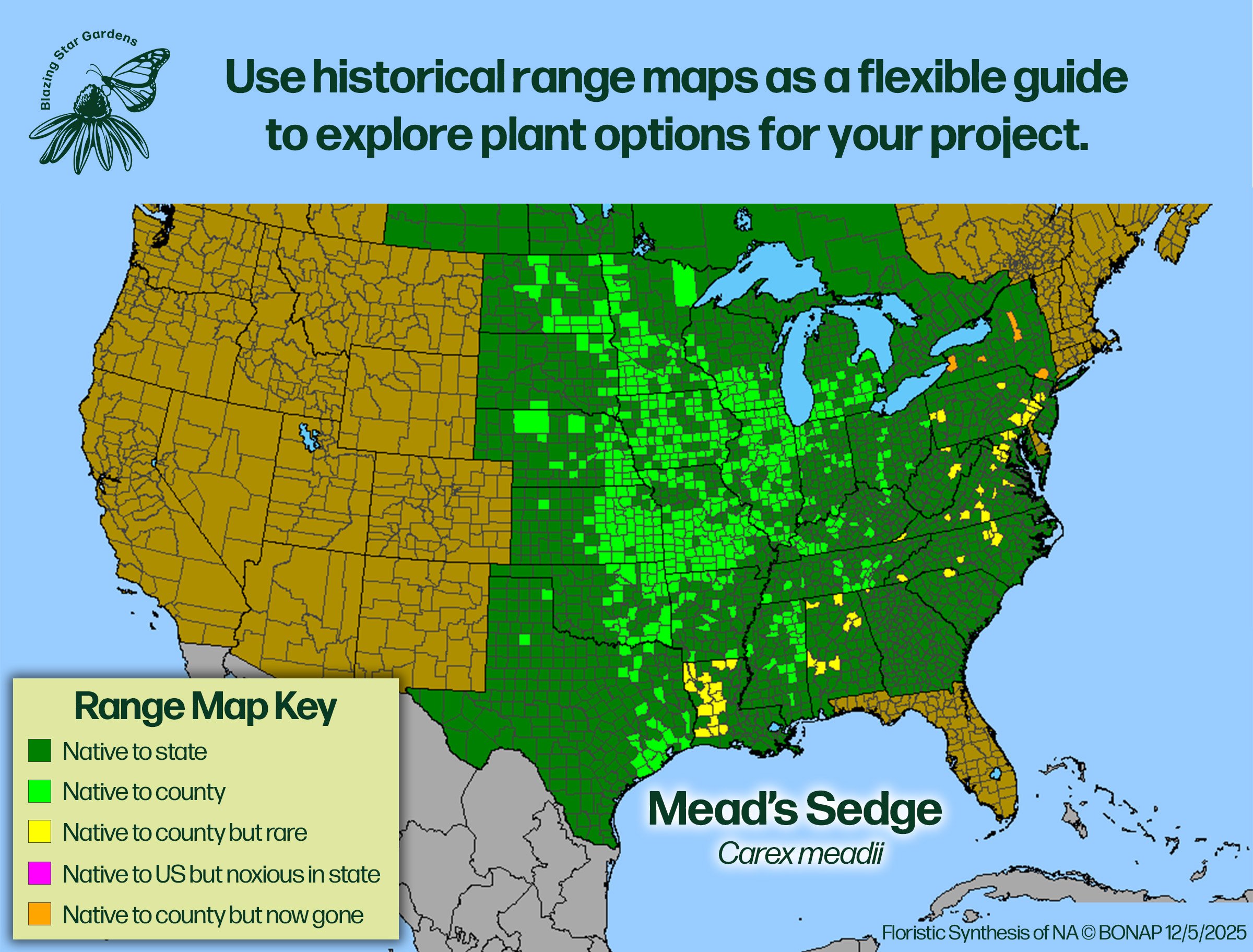 Native-range-map-for-Mead's-Sedge-Carex-meadii-Native-plant-wild-flower-nursery.jpg