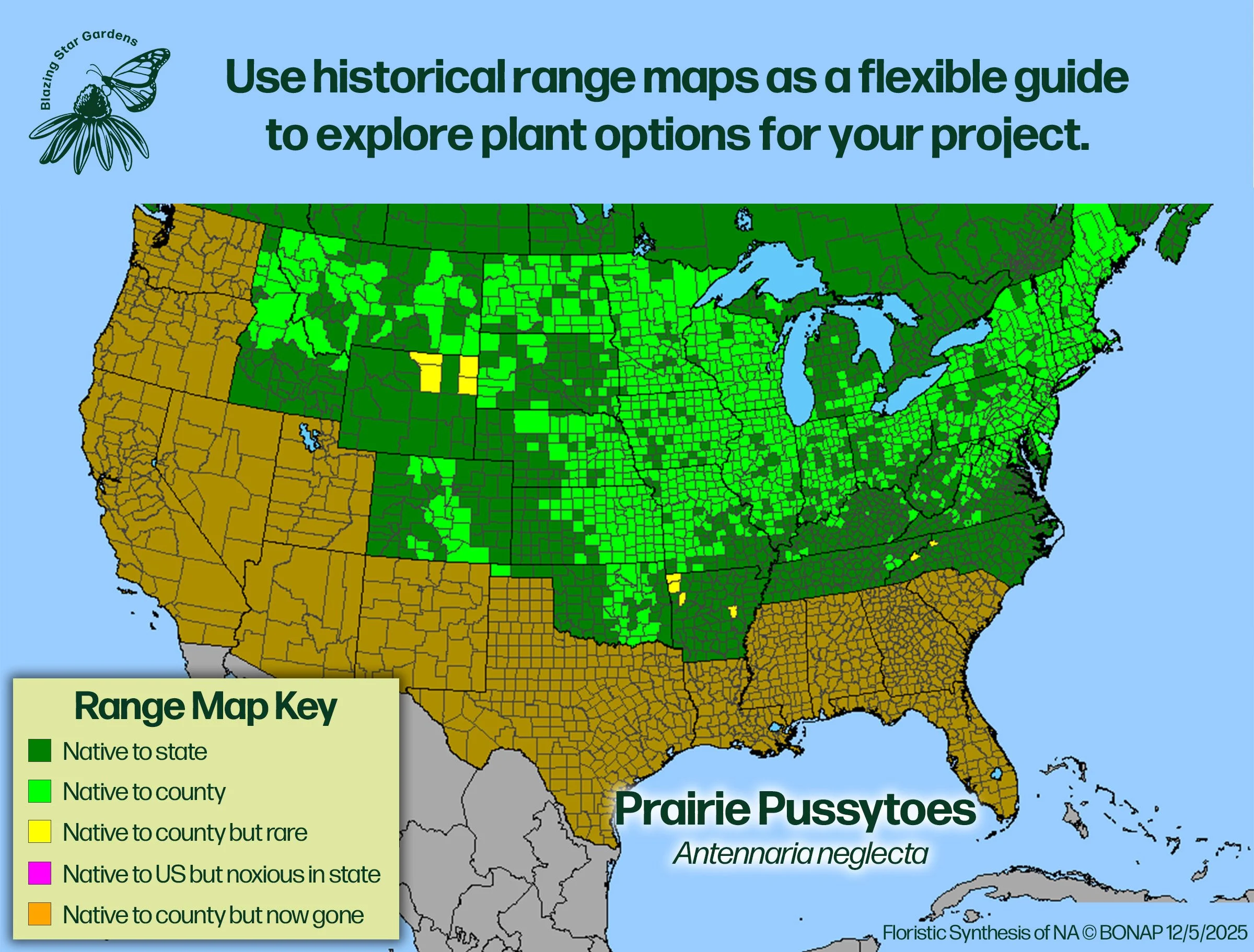 Native-range-map-for-Prairie-Pussytoes-Antennaria-neglecta-Native-plant-wild-flower-nursery.jpg