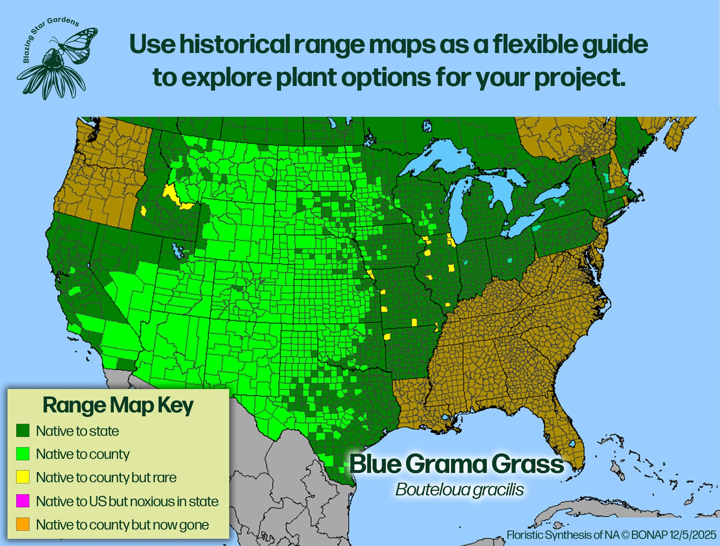 Native-range-map-for-Blue-Grama-Grass-Bouteloua-gracilis-Native-plant-wild-flower-nursery.jpg