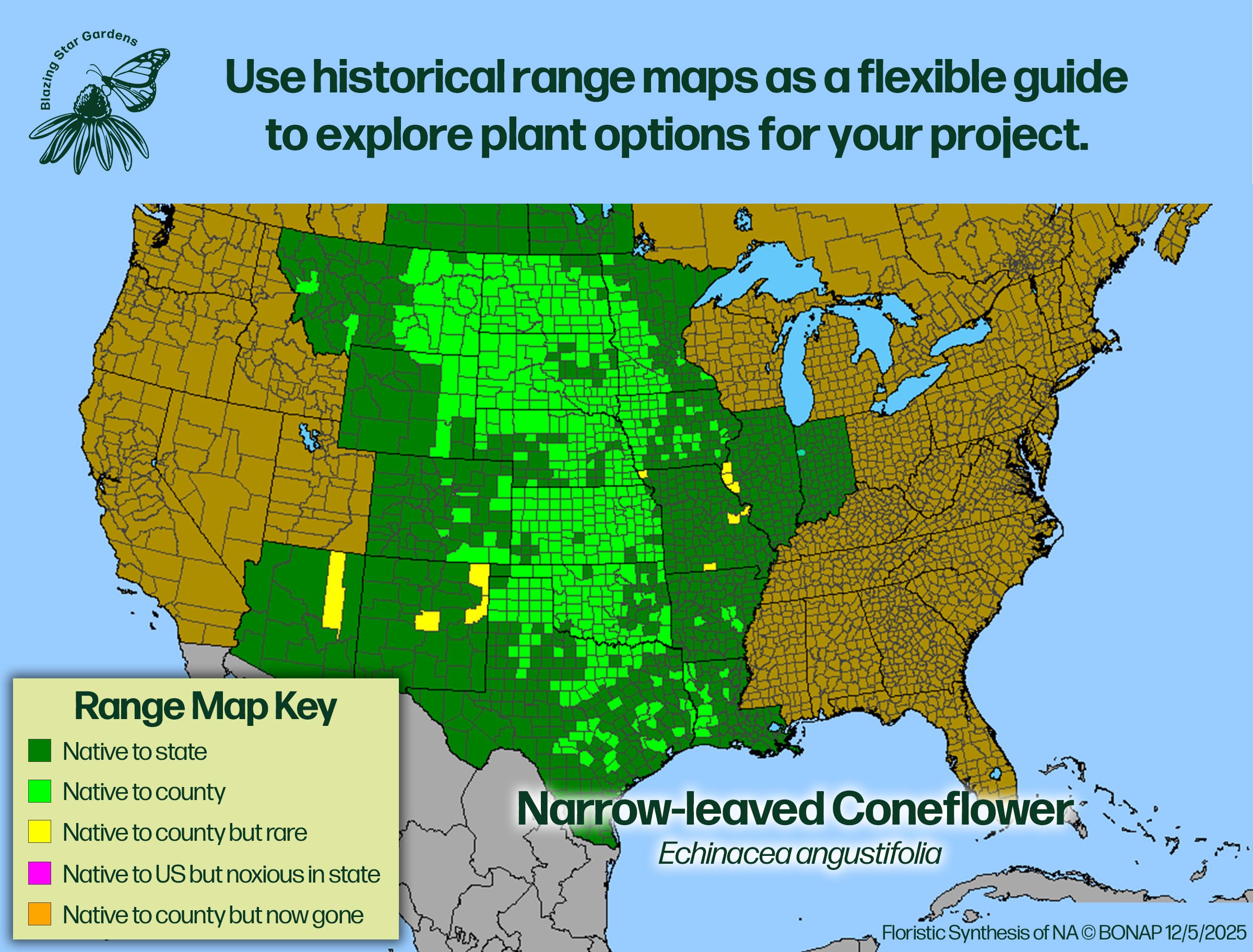 Native-range-map-Narrow-leaved-Coneflower-Echinacea-angustifolia-Native-plant.jpg
