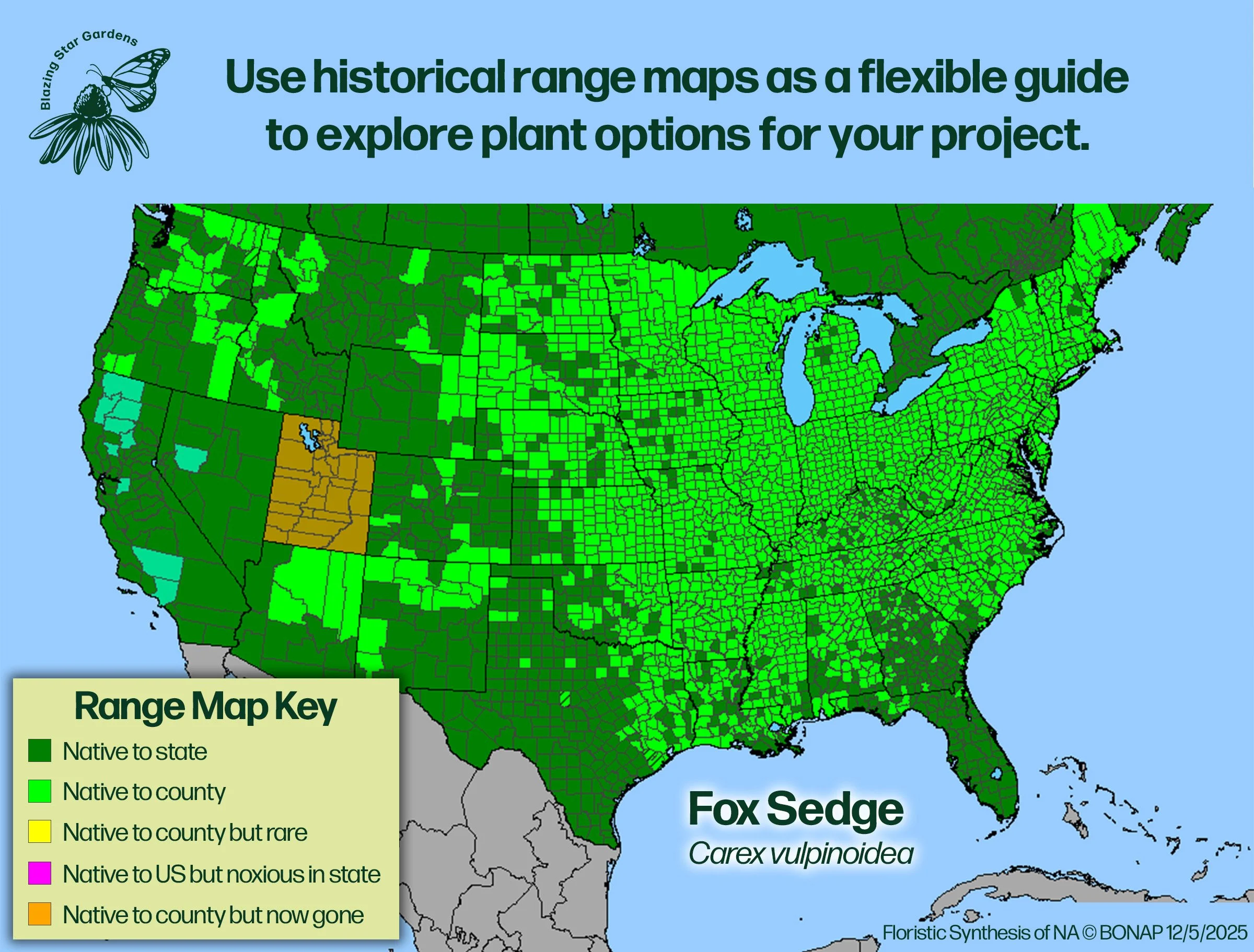 Native-range-map-for-Fox-Sedge-Carex-vulpinoidea-Native-plant-wild-flower-nursery.jpg