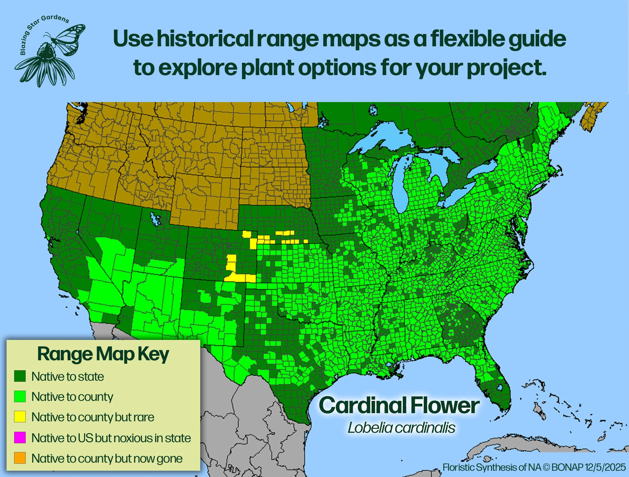 Native-range-map-for-Cardinal-Flower-Lobelia-cardinalis-Native-plant-wild-flower-nursery.jpg