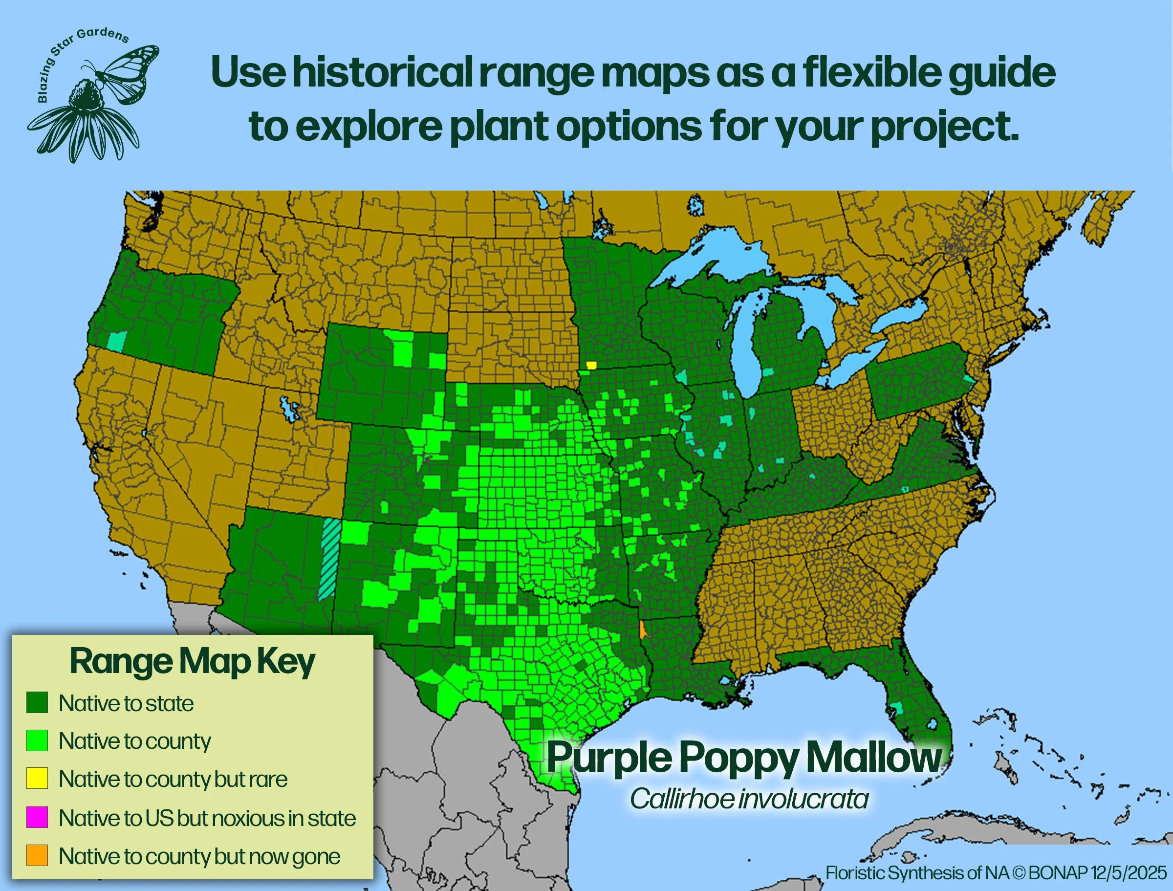 Native-range-map-Purple-Poppy-Mallow-Callirhoe-involucrata-Native-plant.jpg