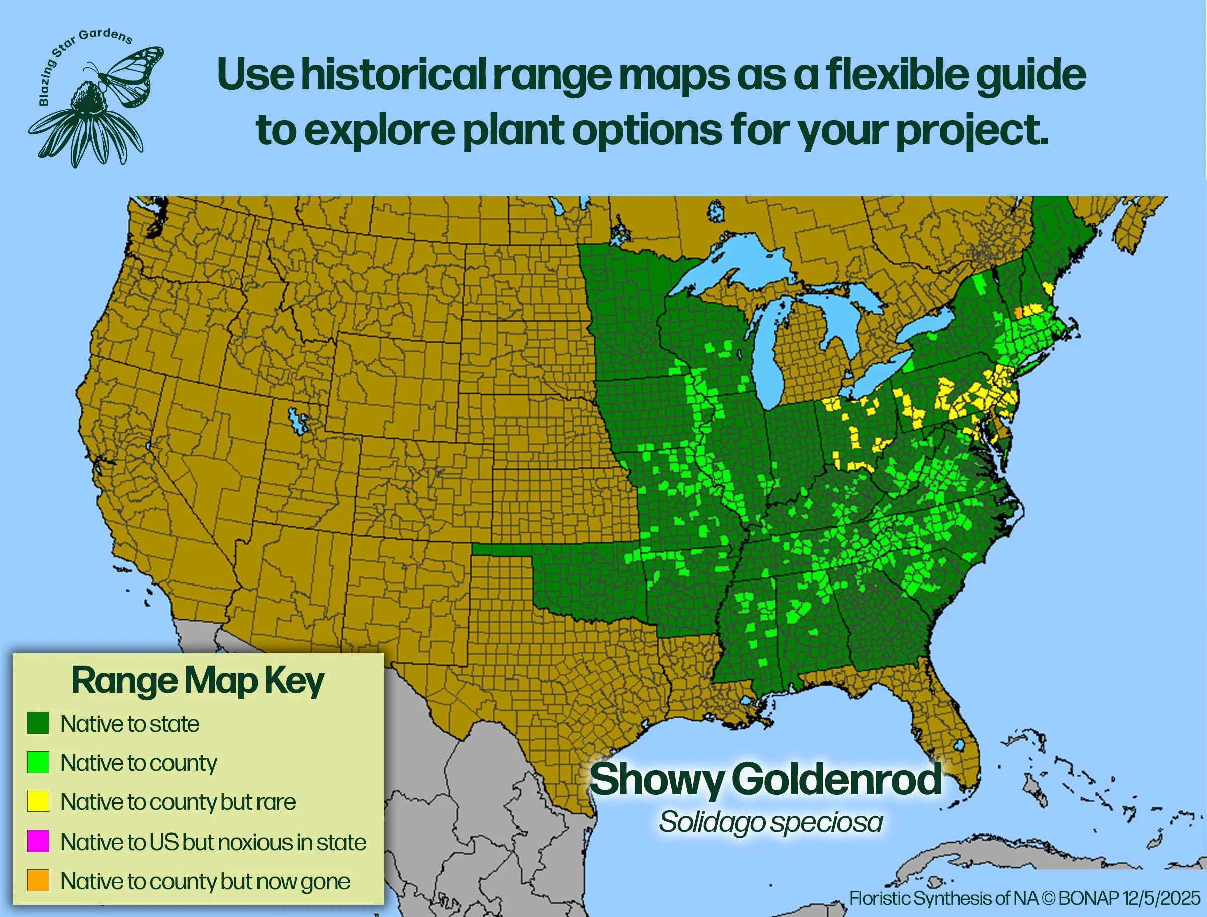 Native-range-map-for-Showy-Goldenrod-Solidago-speciosa-Native-plant-wild-flower-nursery.jpg
