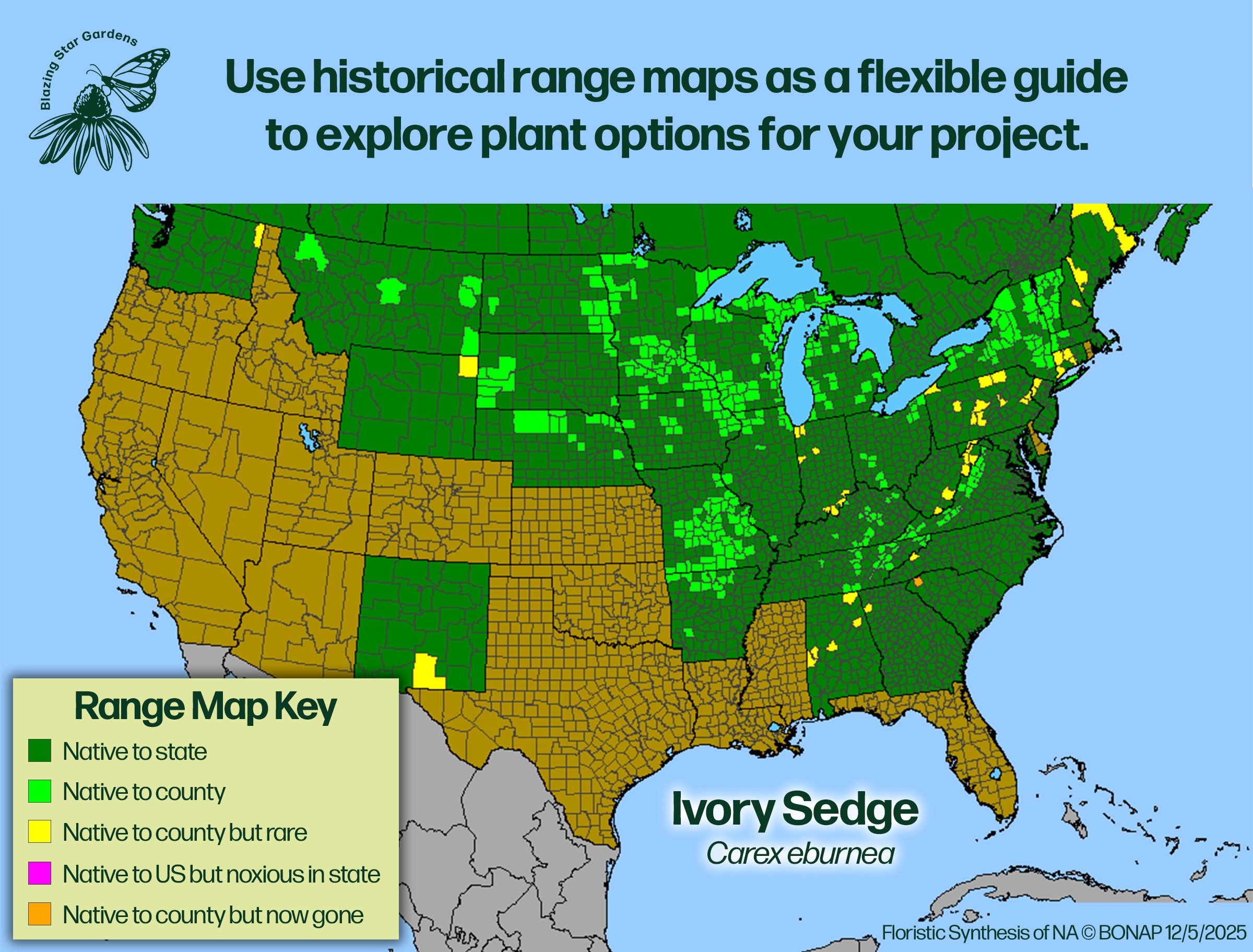 Native-range-map-for-Ivory-Sedge-Carex-eburnea-Native-plant-wild-flower-nursery.jpg