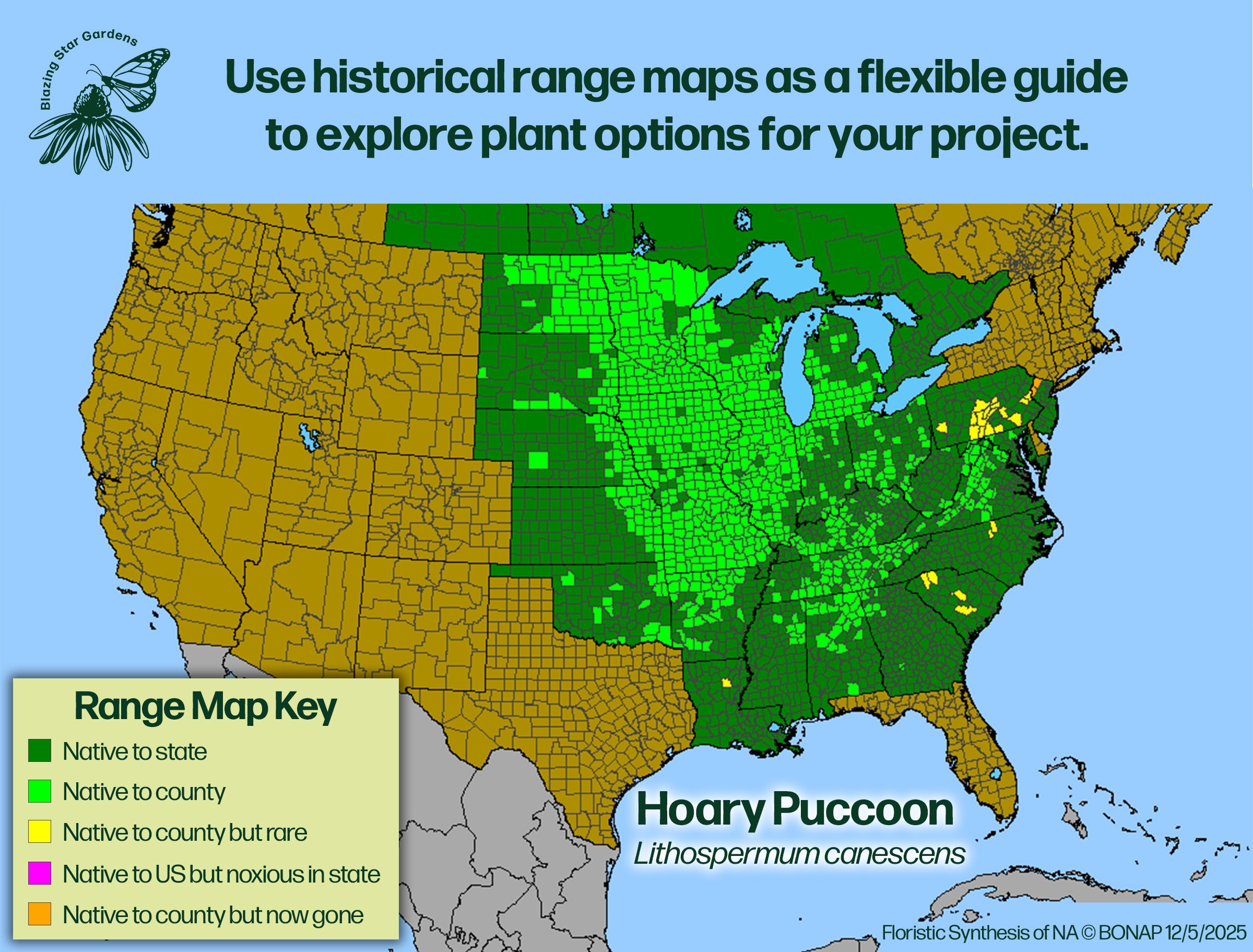 Native-range-map-for-Hoary-Puccoon-Lithospermum-canescens-Native-plant-wild-flower-nursery.jpg