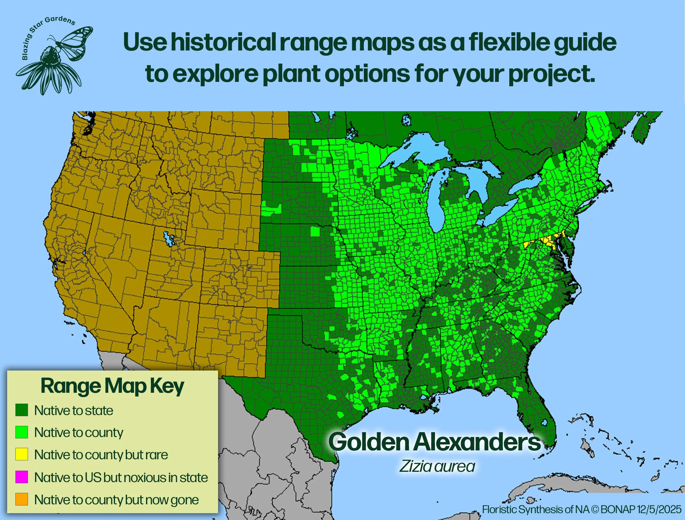 Native-range-map-for-Golden-Alexanders-Zizia-aurea-Native-plant-wild-flower-nursery.jpg
