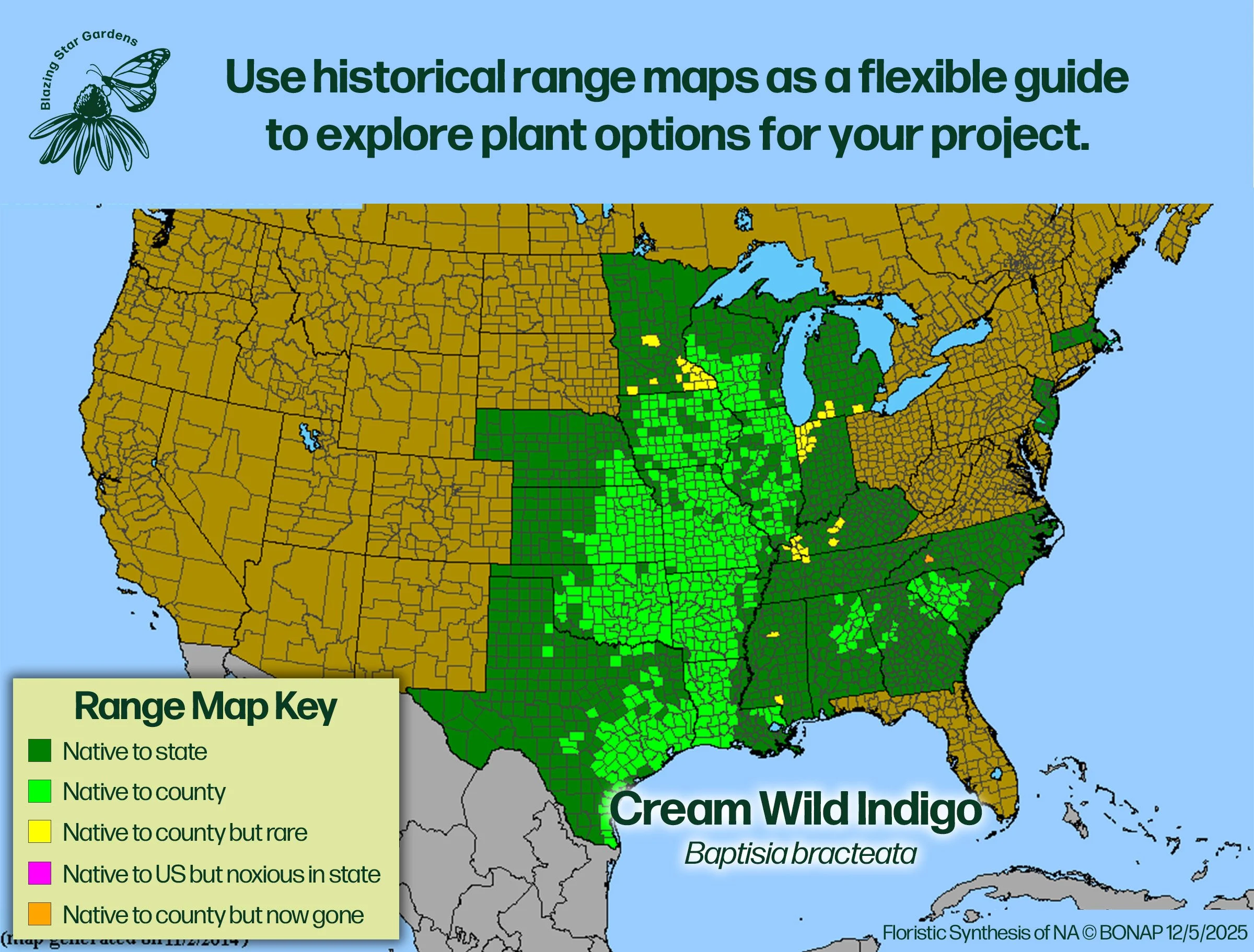 Native-range-map-for-Cream-Wild-Indigo-Baptisia-bracteata-Native-plant-wild-flower-nursery.jpg