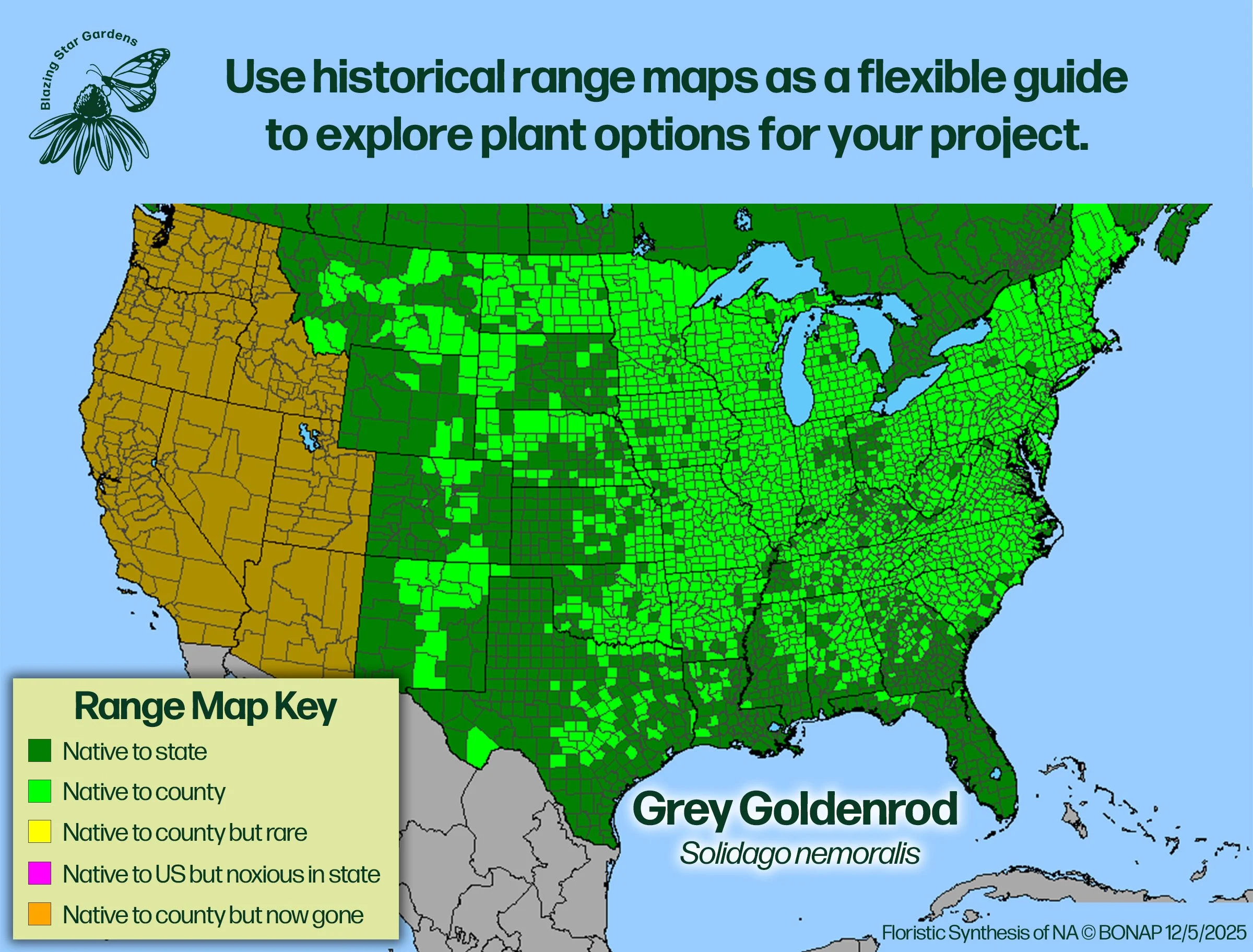Native-range-map-for-Grey-Goldenrod-Solidago-nemoralis-Native-plant-wild-flower-nursery.jpg