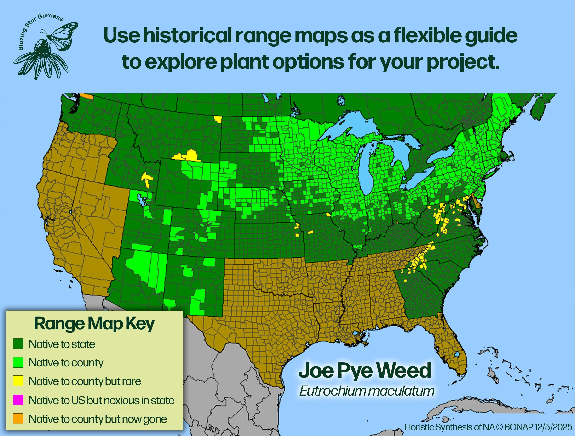 Native-range-map-for-Joe-Pye-Weed-Eutrochium-maculatum-Native-plant-wild-flower-nursery.jpg